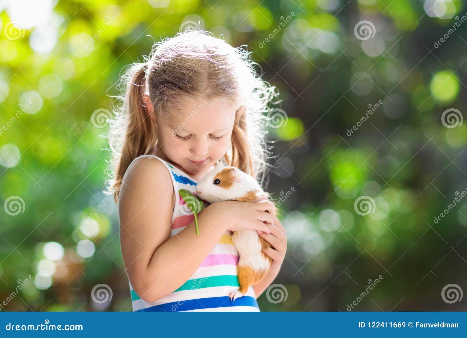 child with guinea pig. cavy animal. kids and pets.