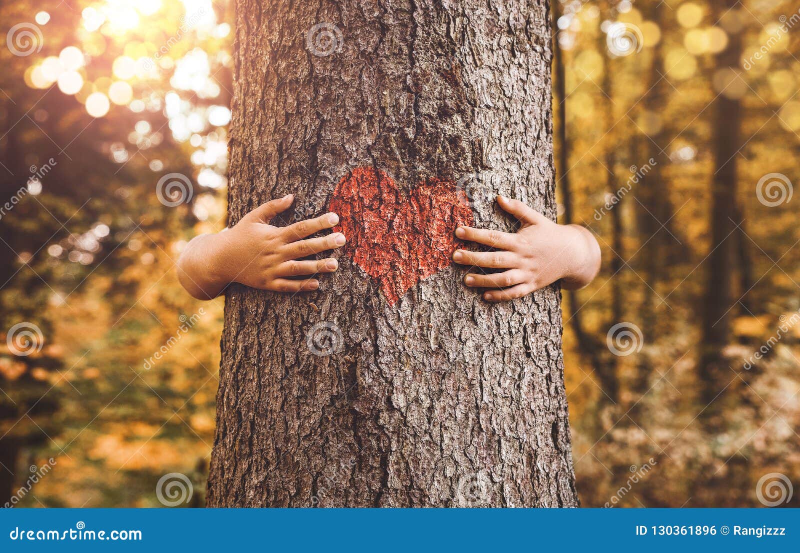 child hands hugging tree