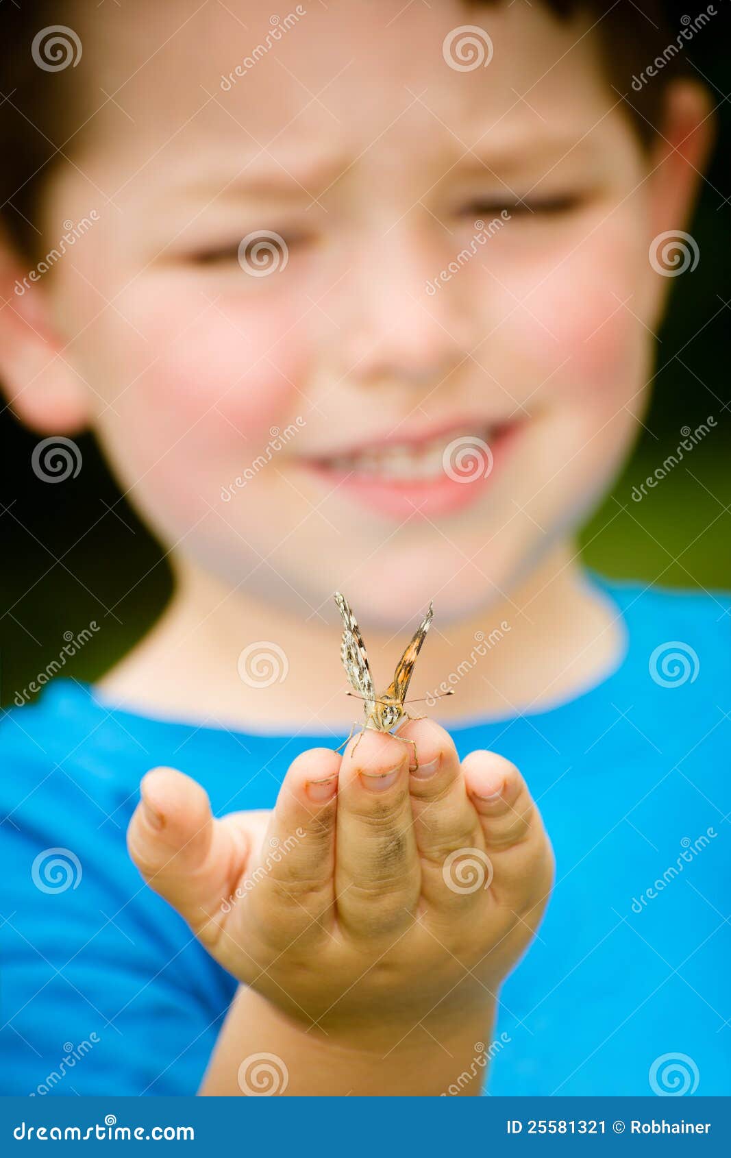 Child holding butterfly. Spring concept with close up of a painted lady butterfly, Vanessa cardui, being held by child playing outdoors in nature