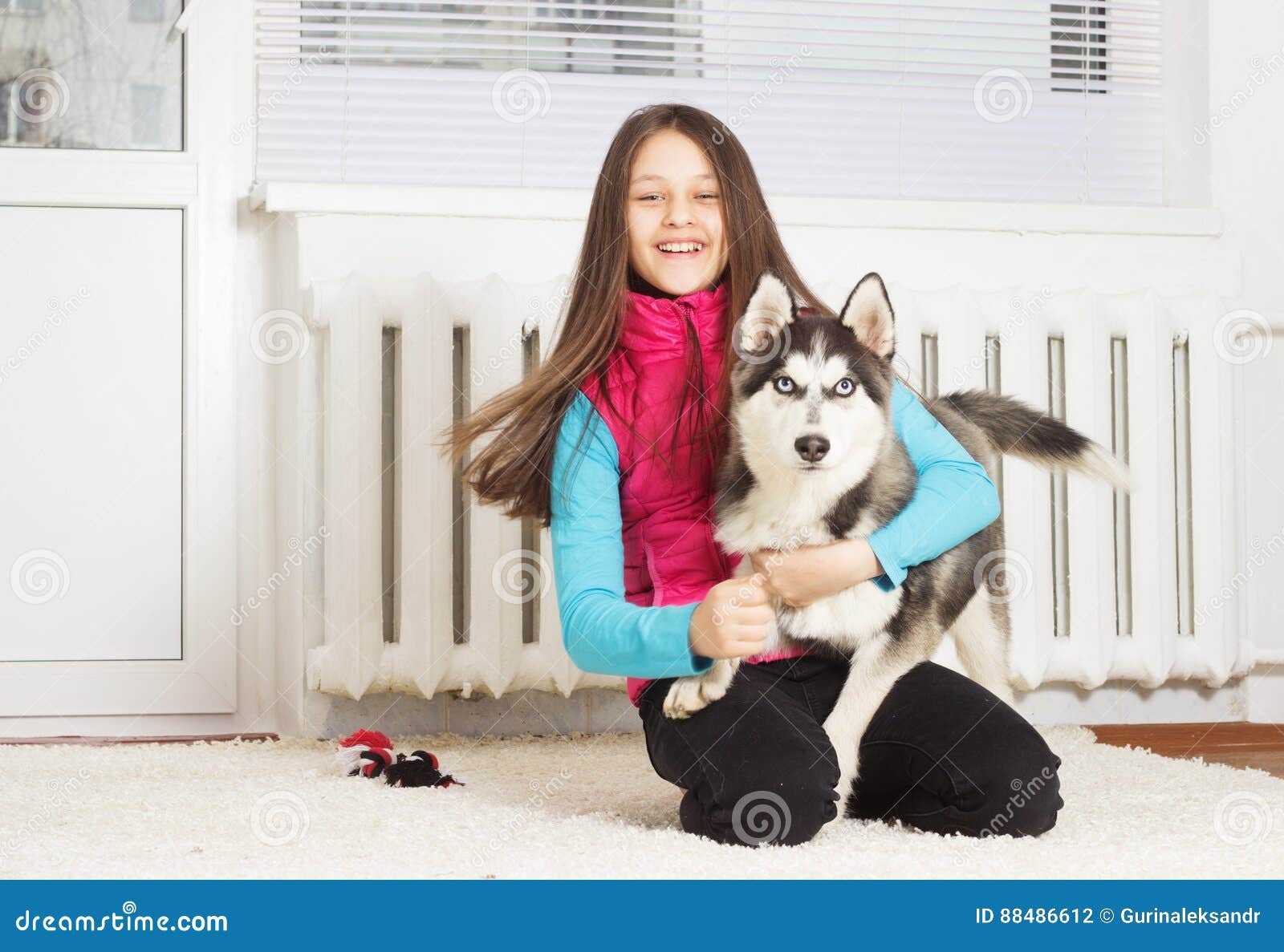 Modern Apartments That Allow Siberian Huskies for Living room