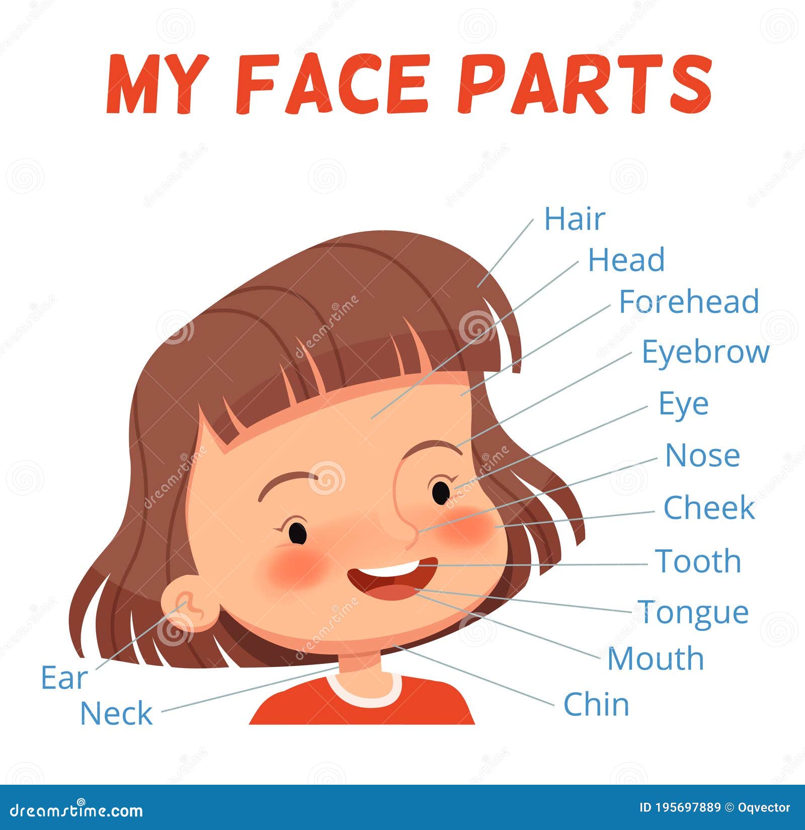 Child Learning Poster. Parts Of The Girl`s Face With Signed Names