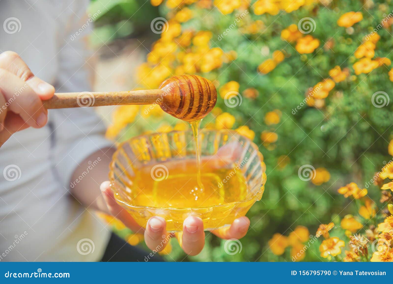Honey Hands Stock Photos Download 4,252 Royalty Free Photos