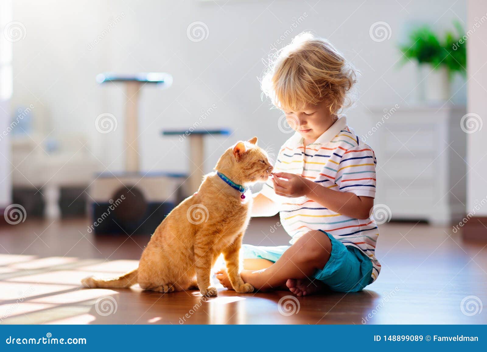 child playing with cat at home. kids and pets
