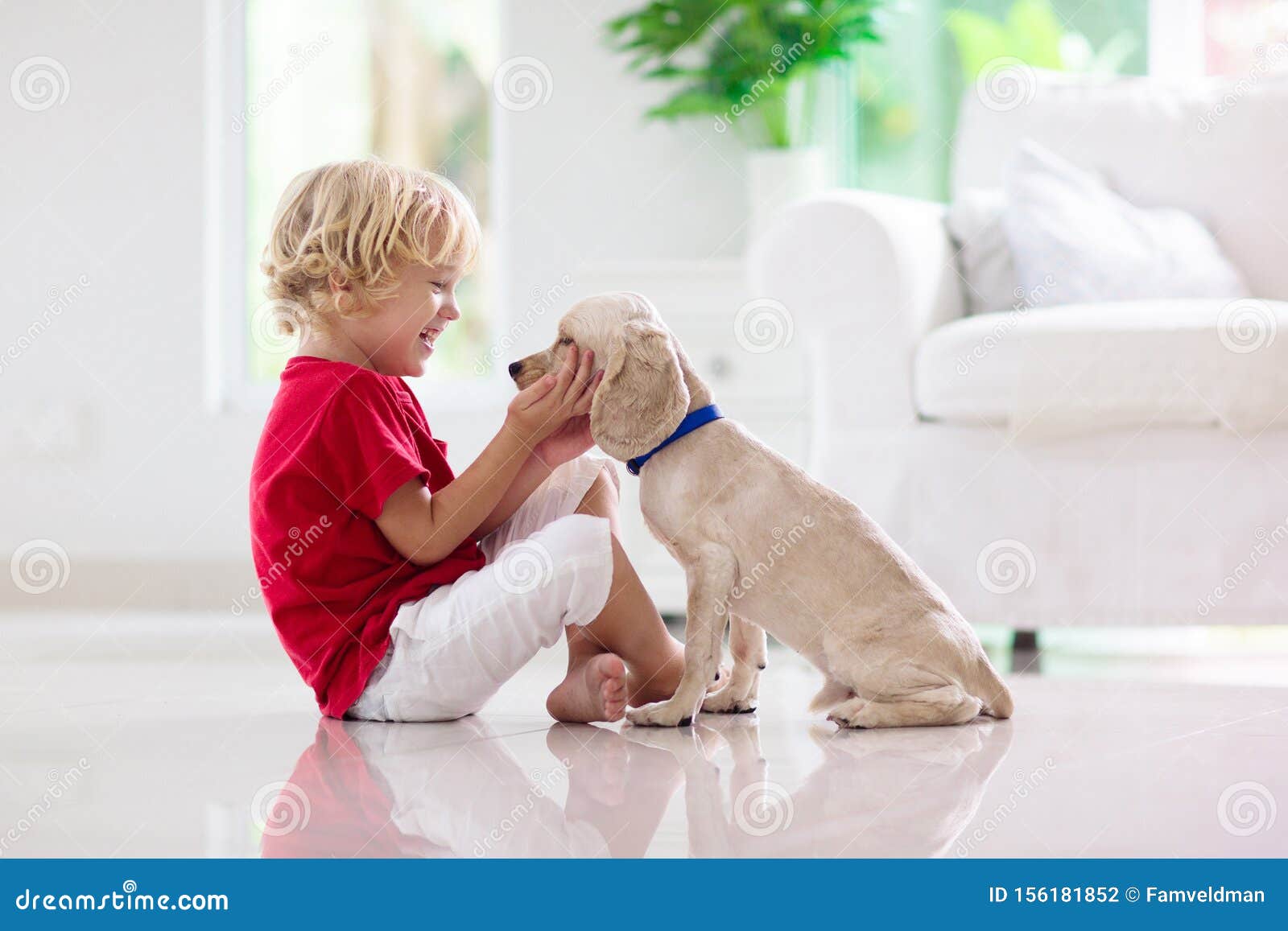 child playing with dog. kids play with puppy