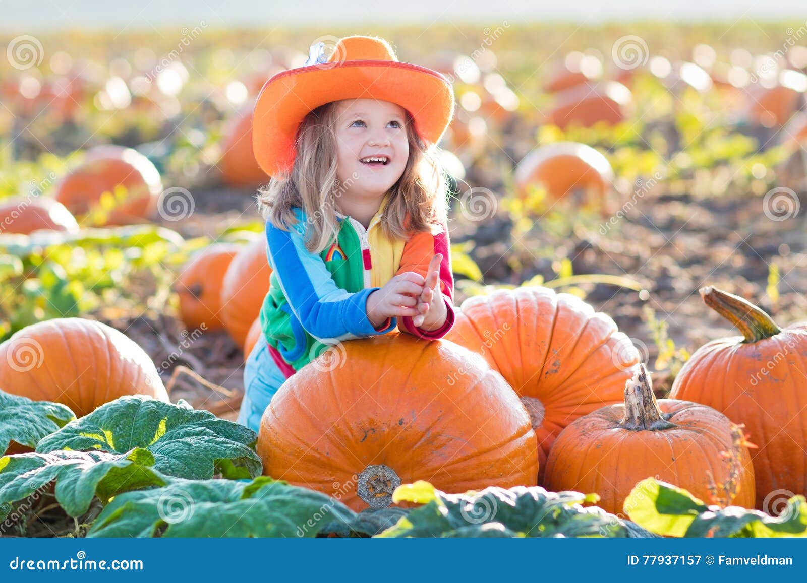 Child Playing on Pumpkin Patch Stock Image - Image of healthy, girl ...