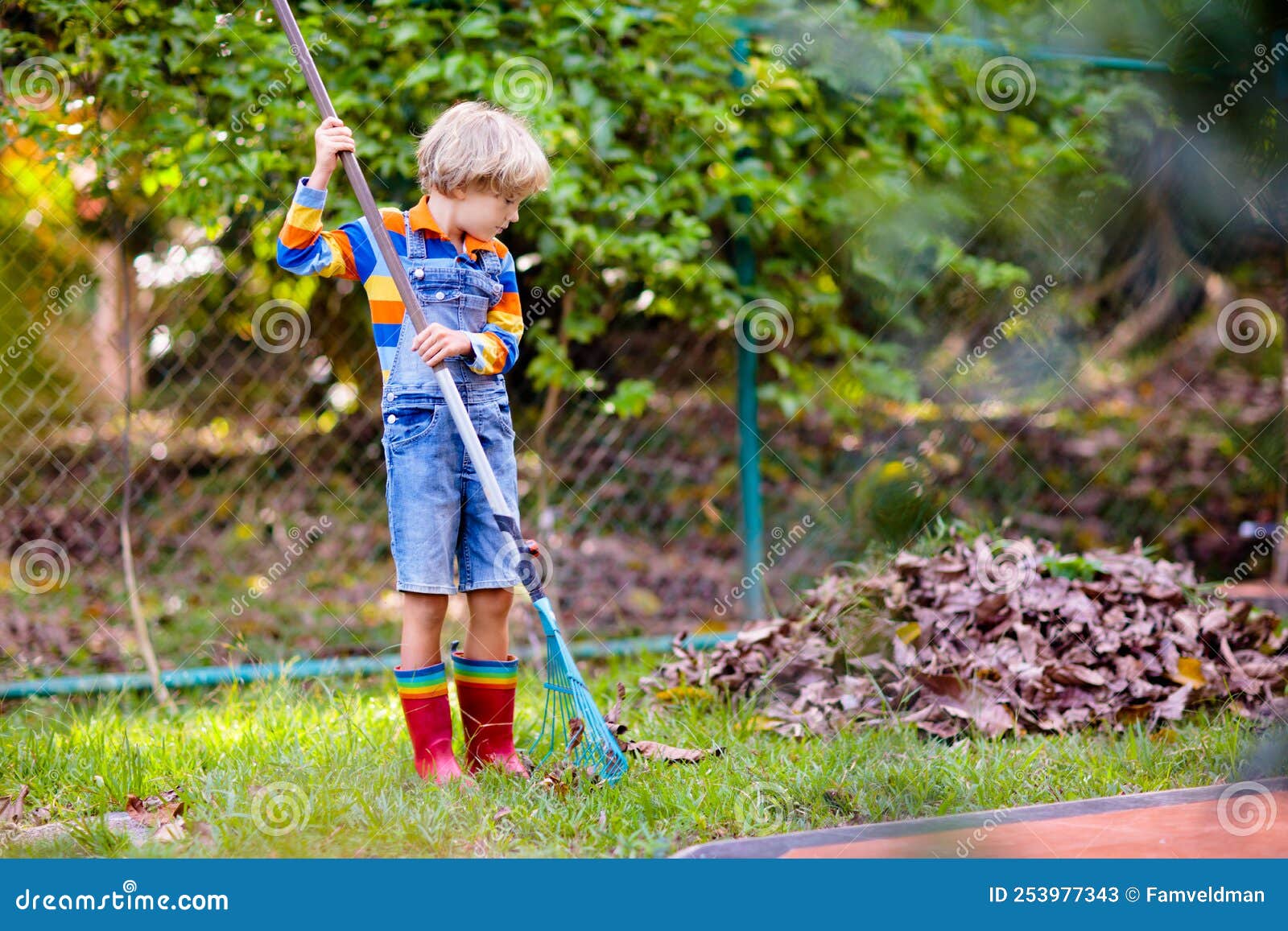 Child and Rake in Autumn Garden. Kid Raking Leaves Stock Image - Image ...