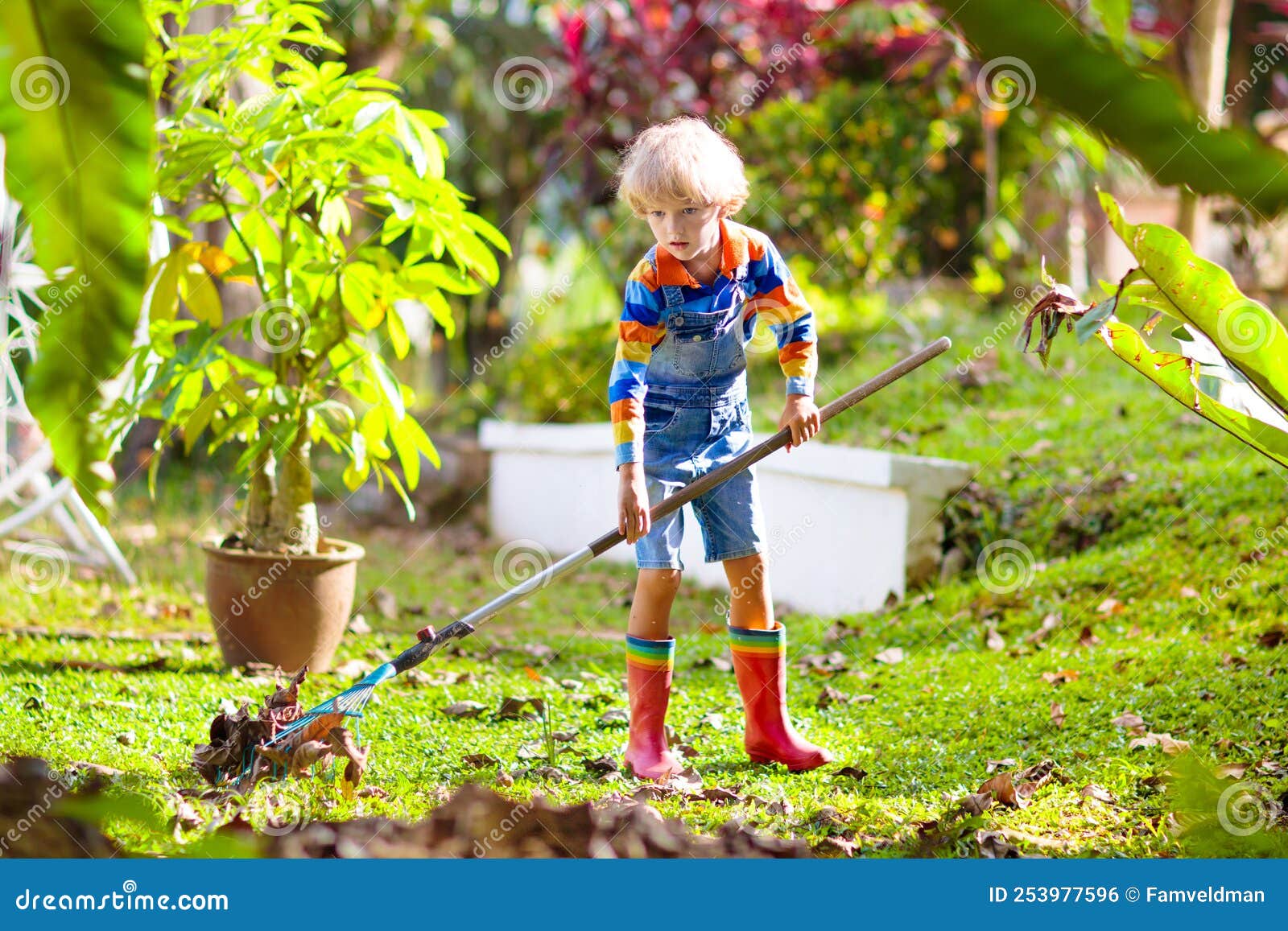 Child and Rake in Autumn Garden. Kid Raking Leaves Stock Photo - Image ...