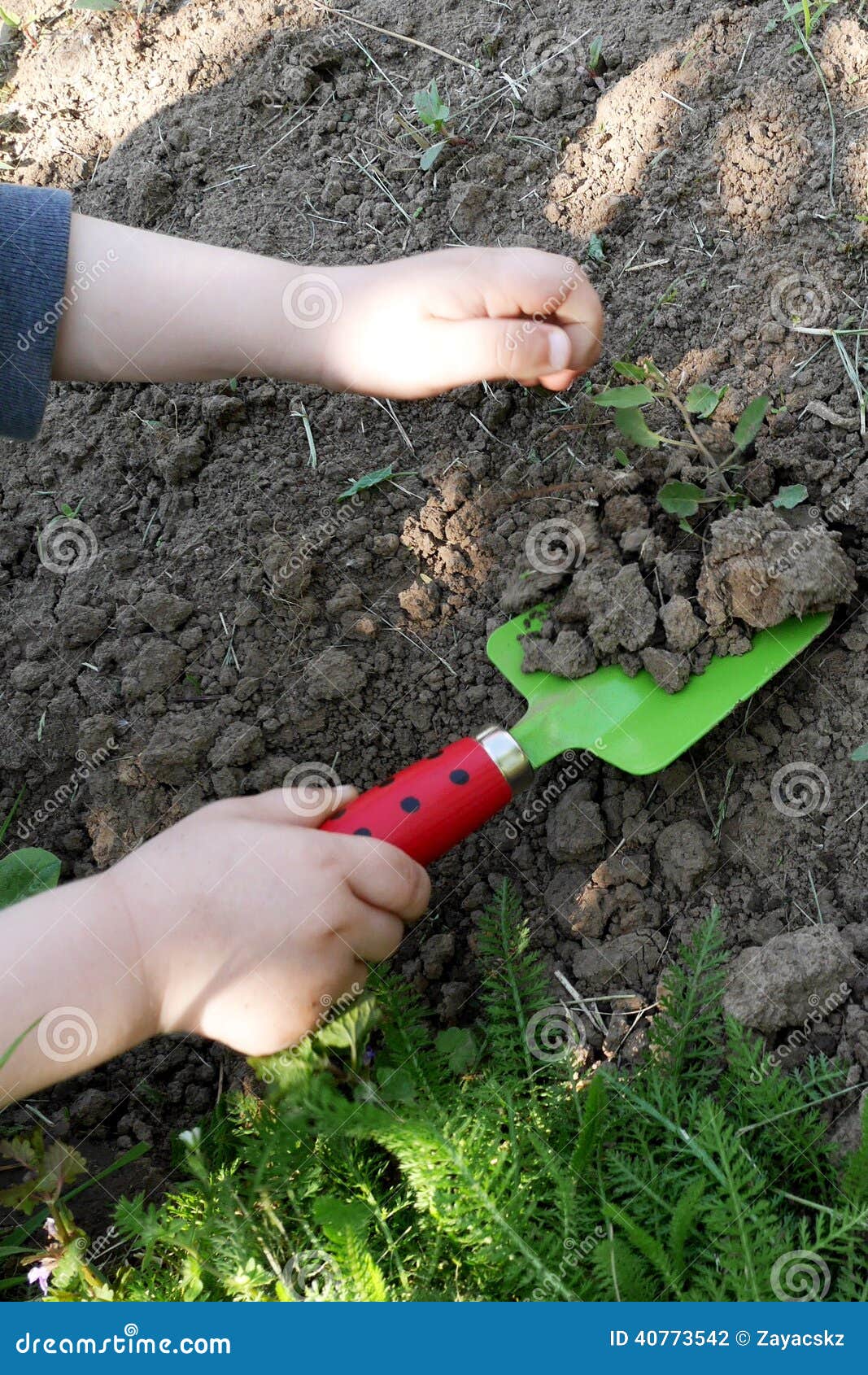 underholdning Tilbageholde ego Child Removing Weed in Garden with Toy Shovel Stock Photo - Image of left,  brown: 40773542
