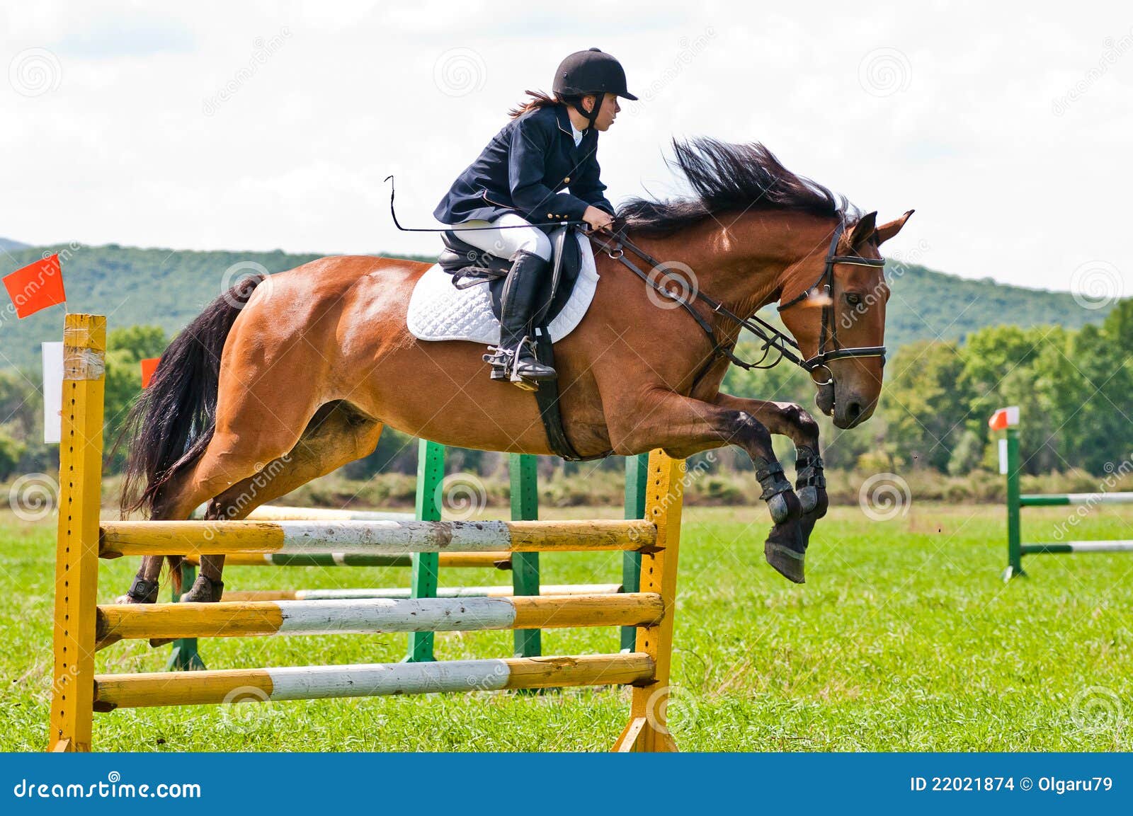 Horse Hurdles Horse Hurdles