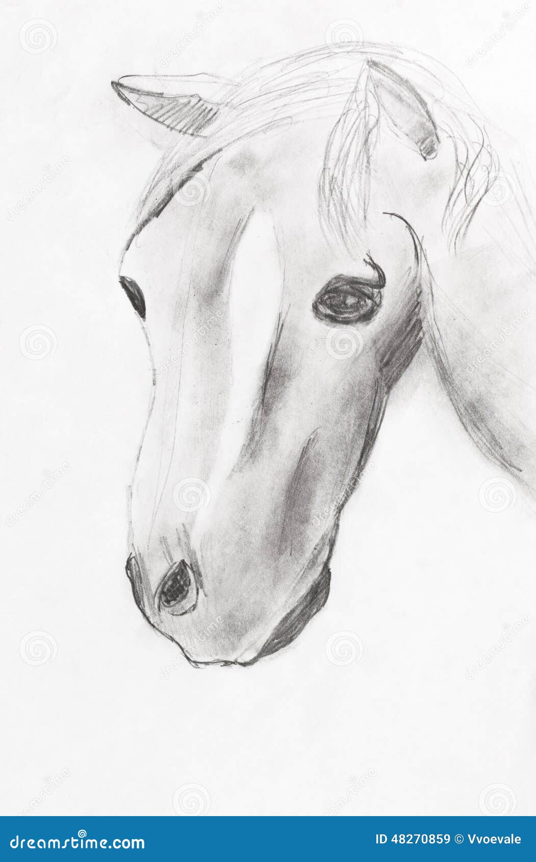 Original Pencil Sketch of Horse Pencil Sketch Horse Sketch - Etsy