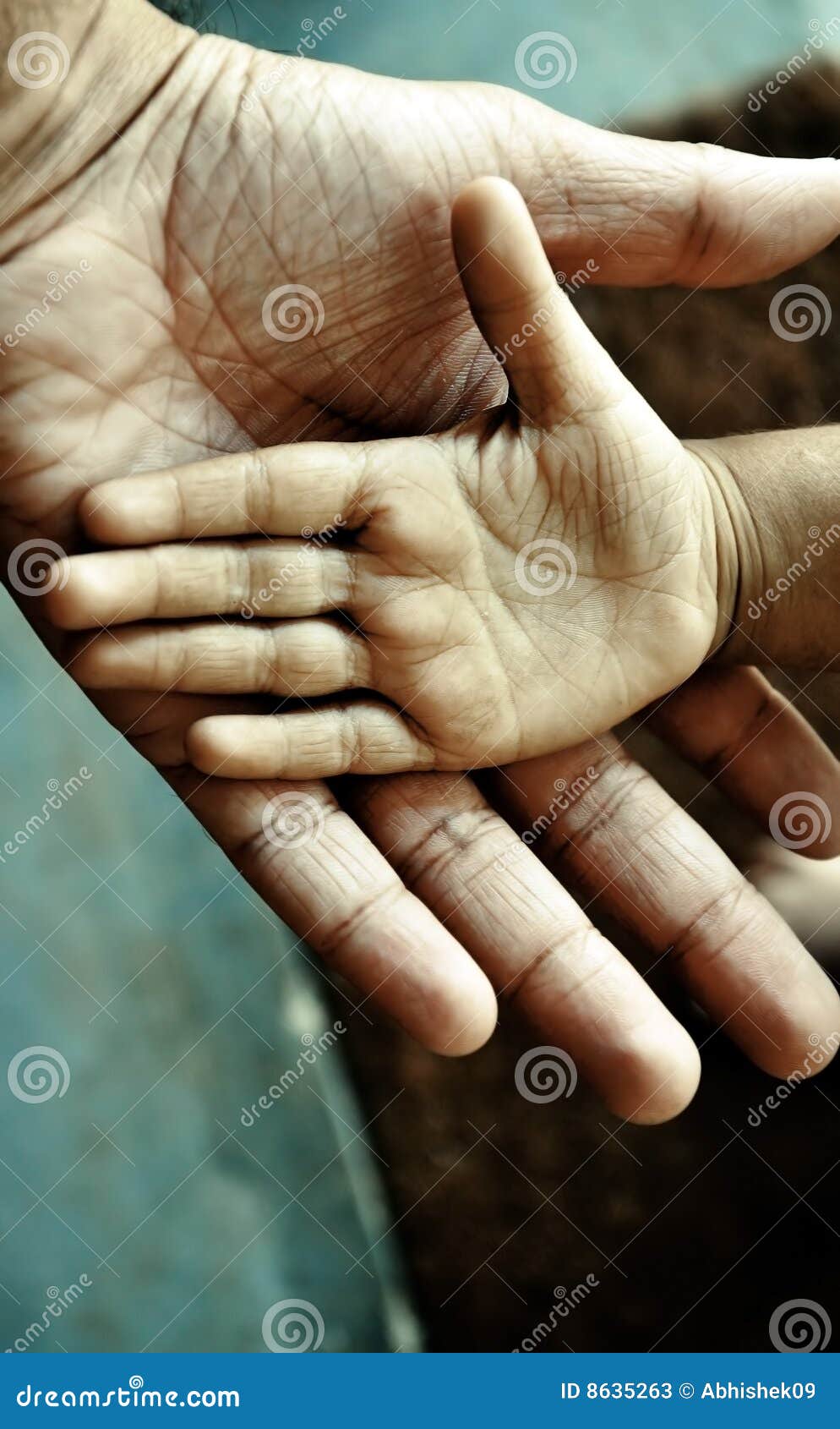 What does the childs hand dream about What does the childs hand dream about