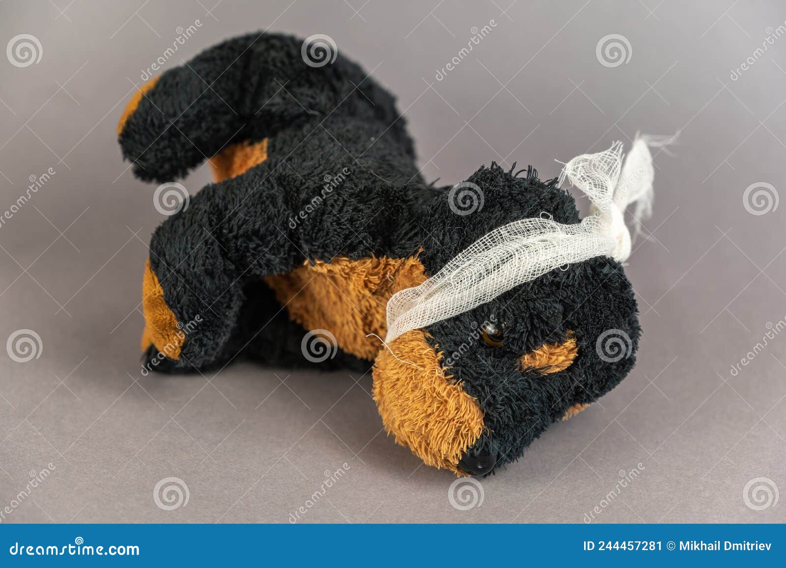 A Child`s Toy with a Bandaged Head Lies. Black Stuffed Dog on a Gray ...