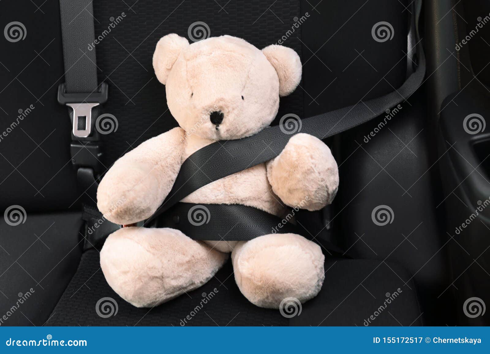 Bear in the Back Seat by Kim DeLozier Bear in the Back Seat by Kim DeLozier