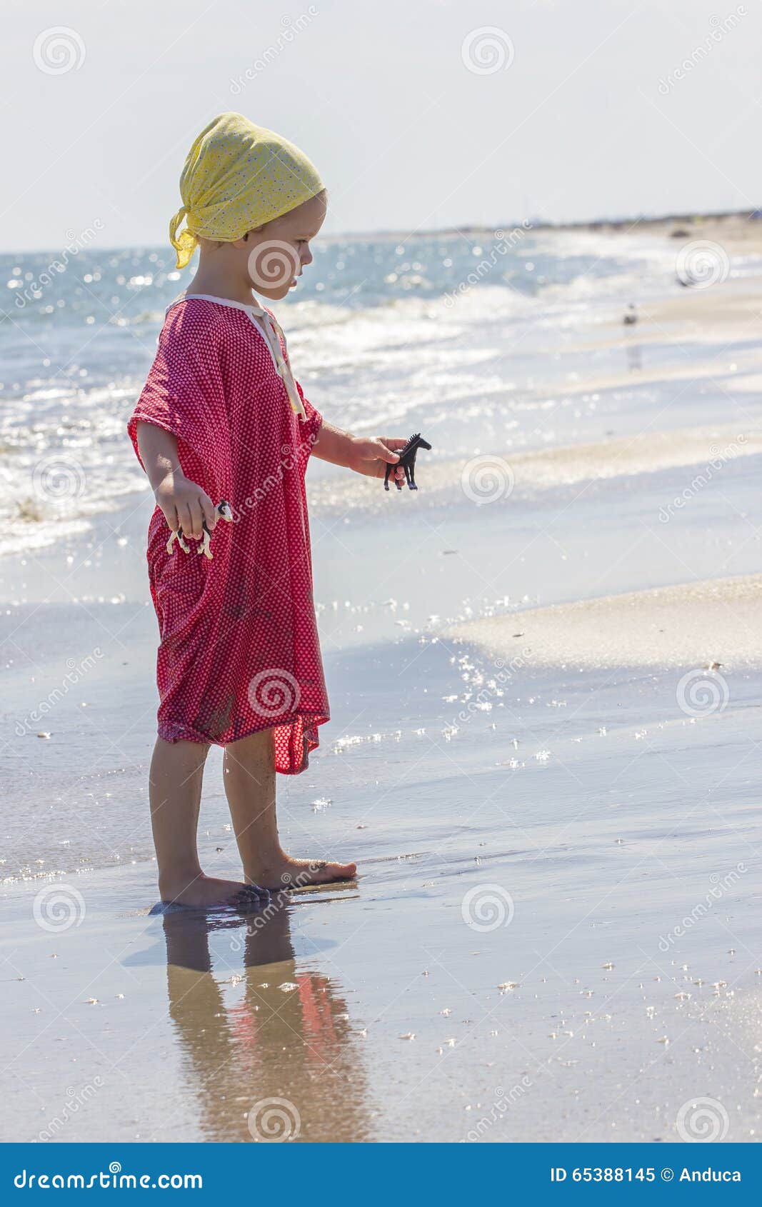 Child at the sea side stock image. Image of playing, holding - 65388145