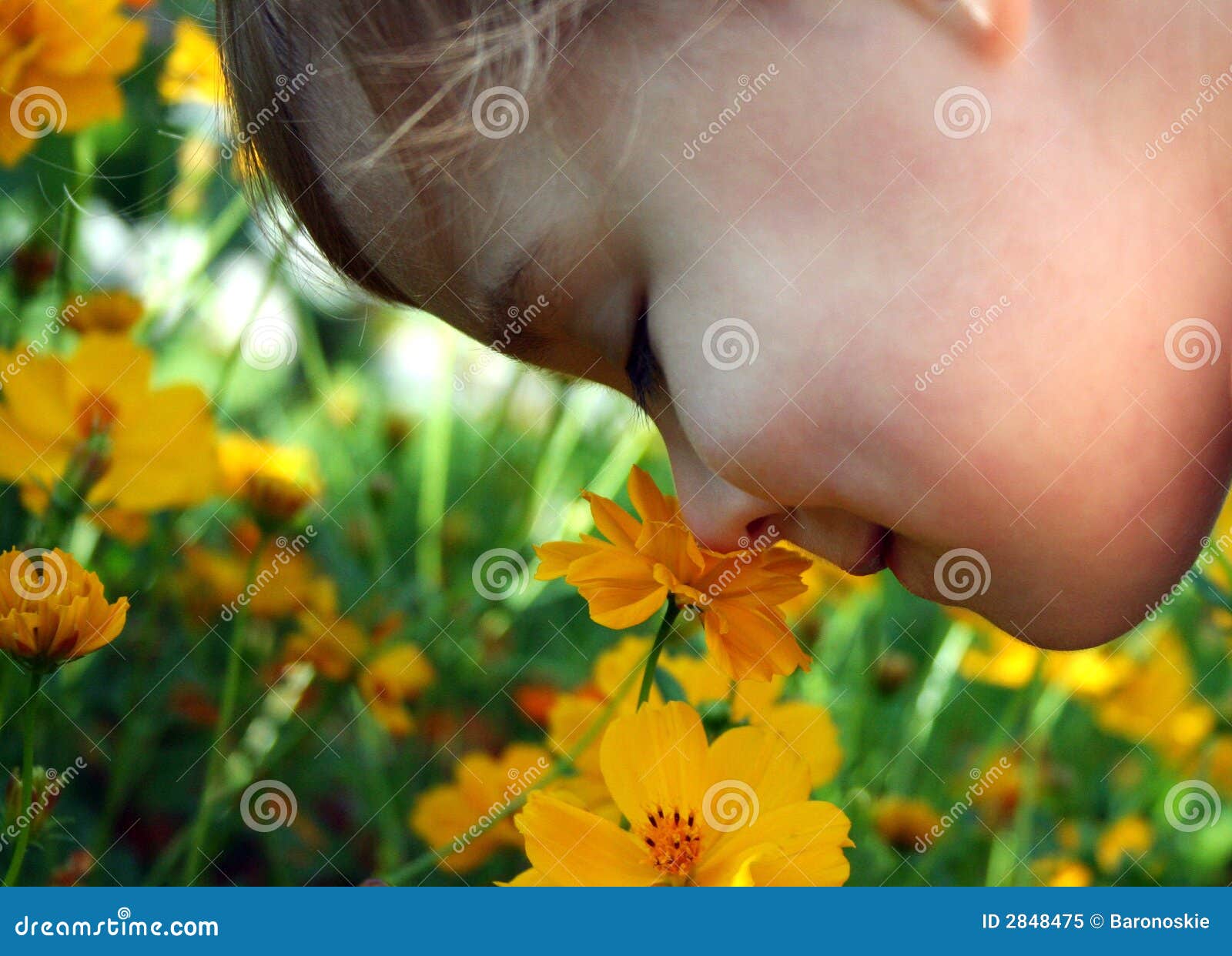 Child Smelling a Yellow Flower Stock Image Image of yellow, pretty