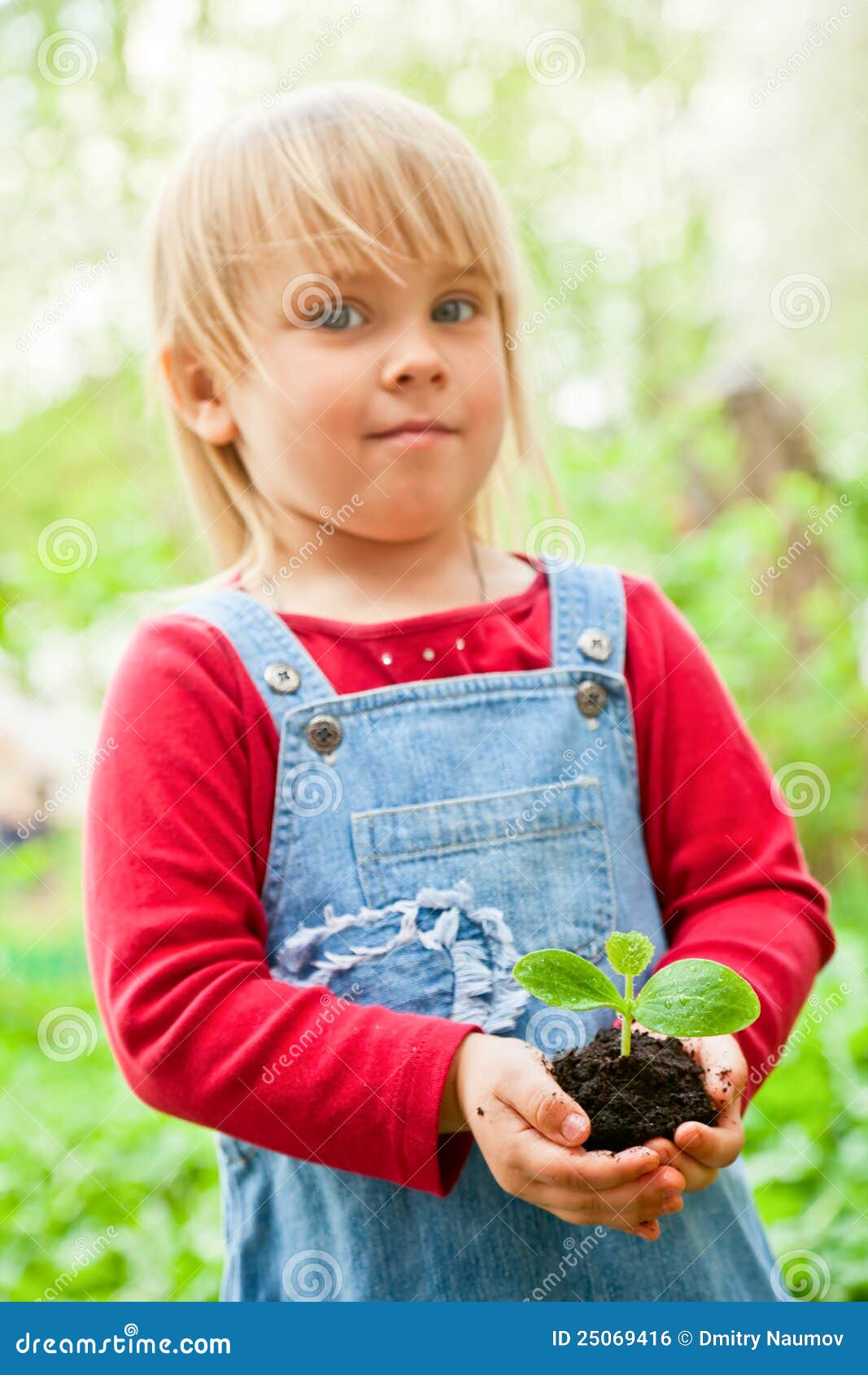 Child with sprout stock photo. Image of herb, agriculture 25069416