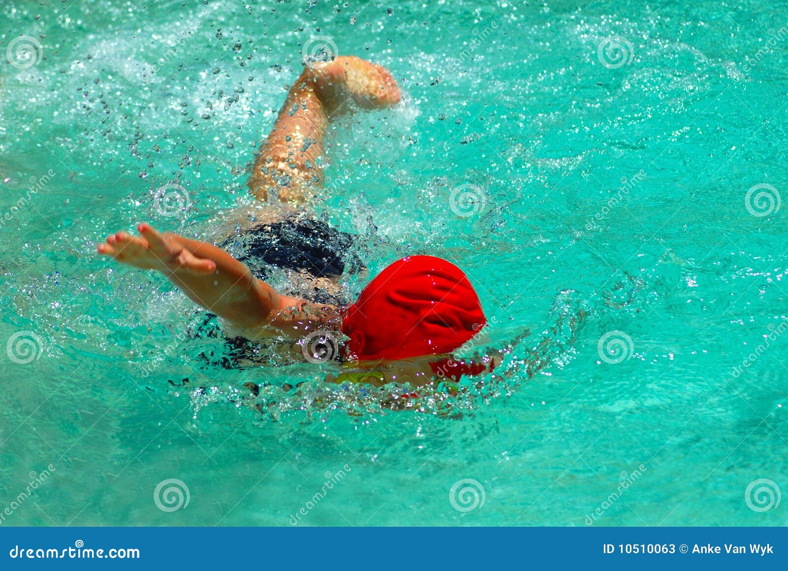 Child swimming freestyle stock image. Image of sport 10510063