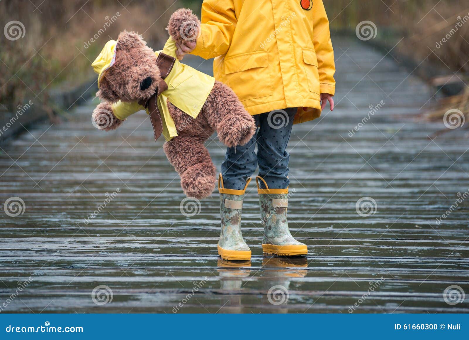 teddy bear in raincoat