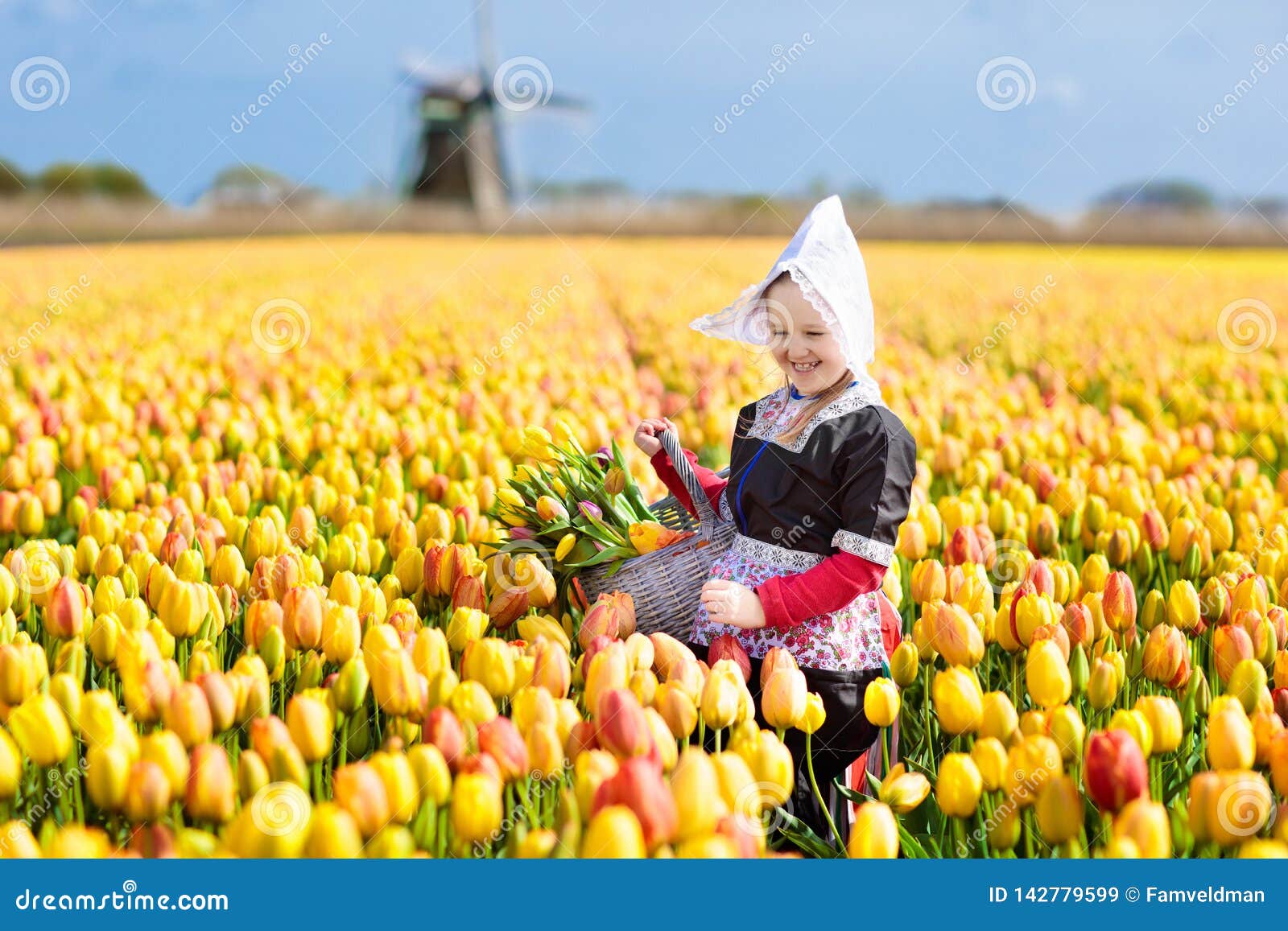 Child in Tulip Flower Field. Windmill in Holland Stock Image - Image of ...