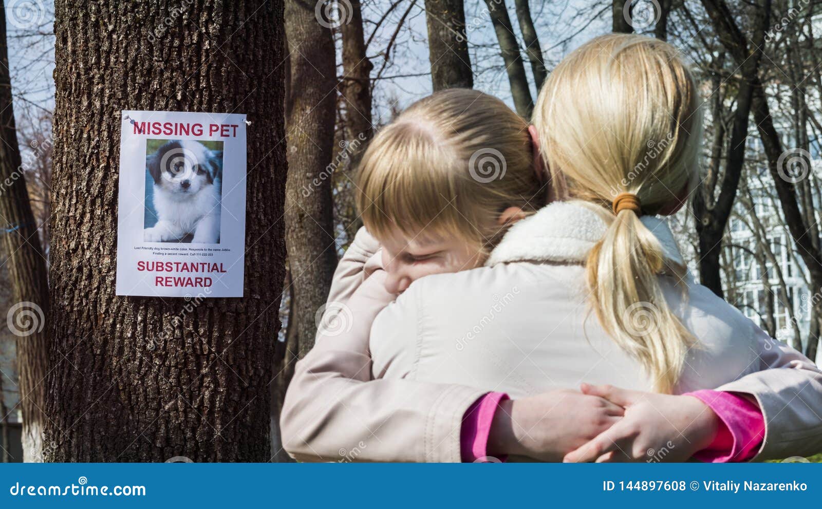 The Child Is Upset About Missing Puppy Mother Calms Her Down Stock Photo Image Of Lost Unhappy 144897608