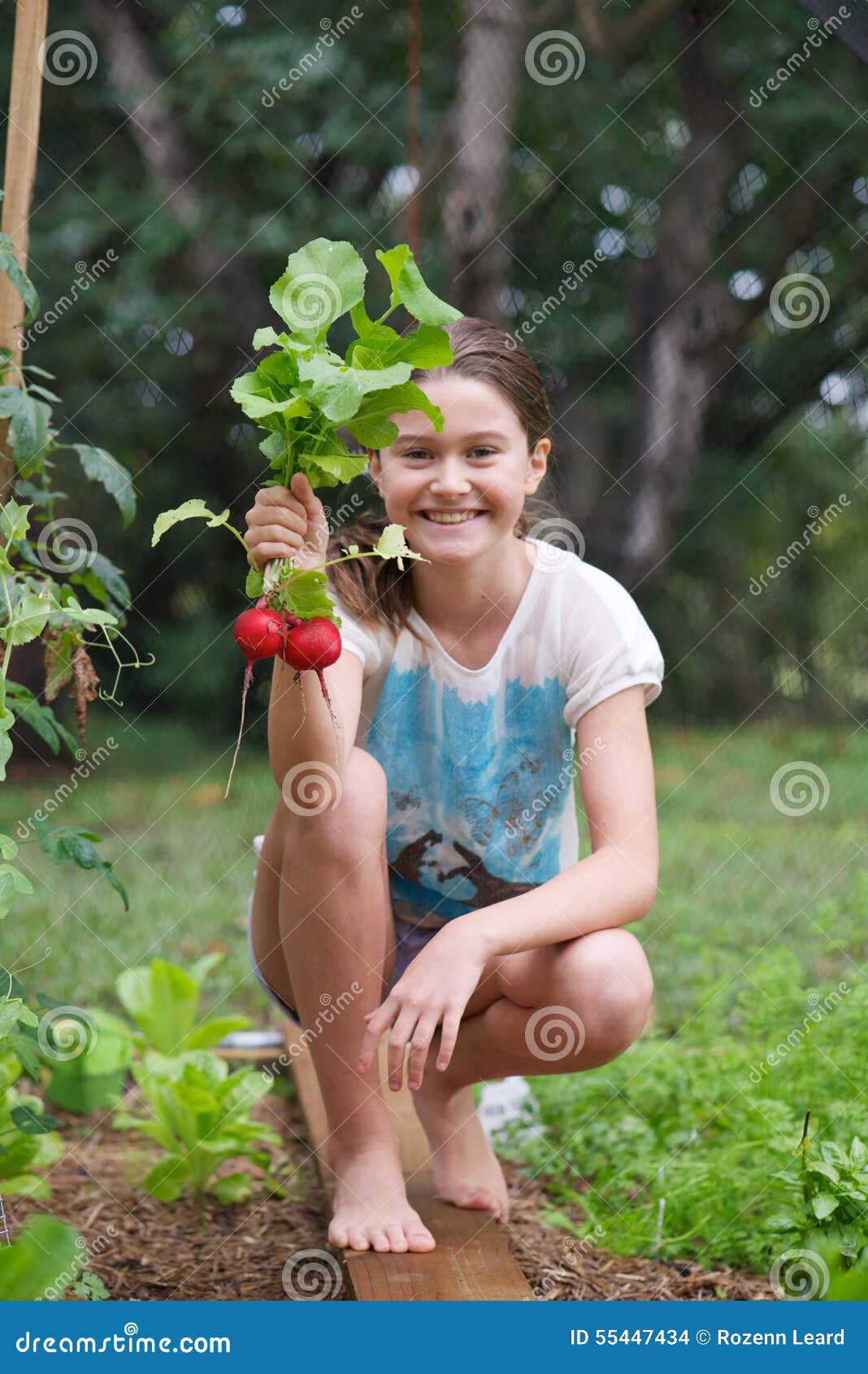 https://thumbs.dreamstime.com/z/child-veggie-patch-young-girl-holding-freshly-picked-radish-protected-birds-net-55447434.jpg