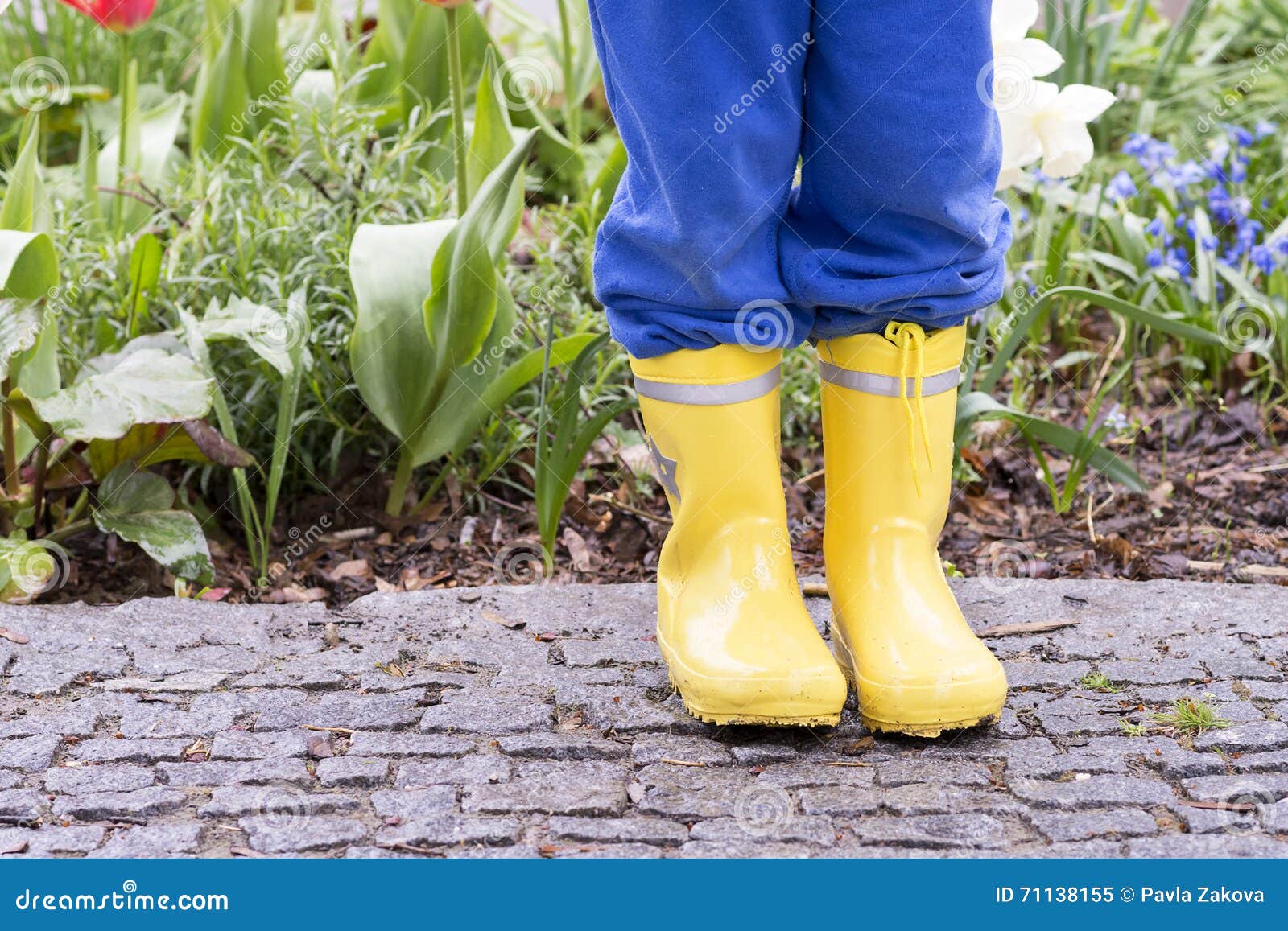 Child in yellow wellington boots in garden. Child leg in yellow wellington boots standing in spring garden on wet path.