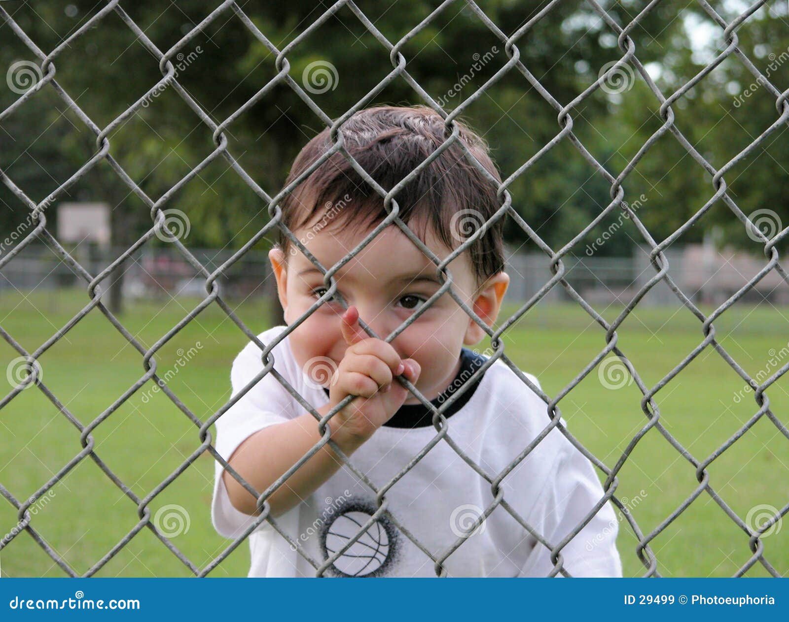 Children Boy Peering through Fence Stock Image Image of dream, link