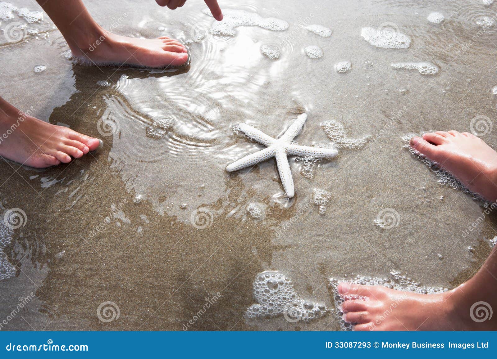 children discovering starfish on beach