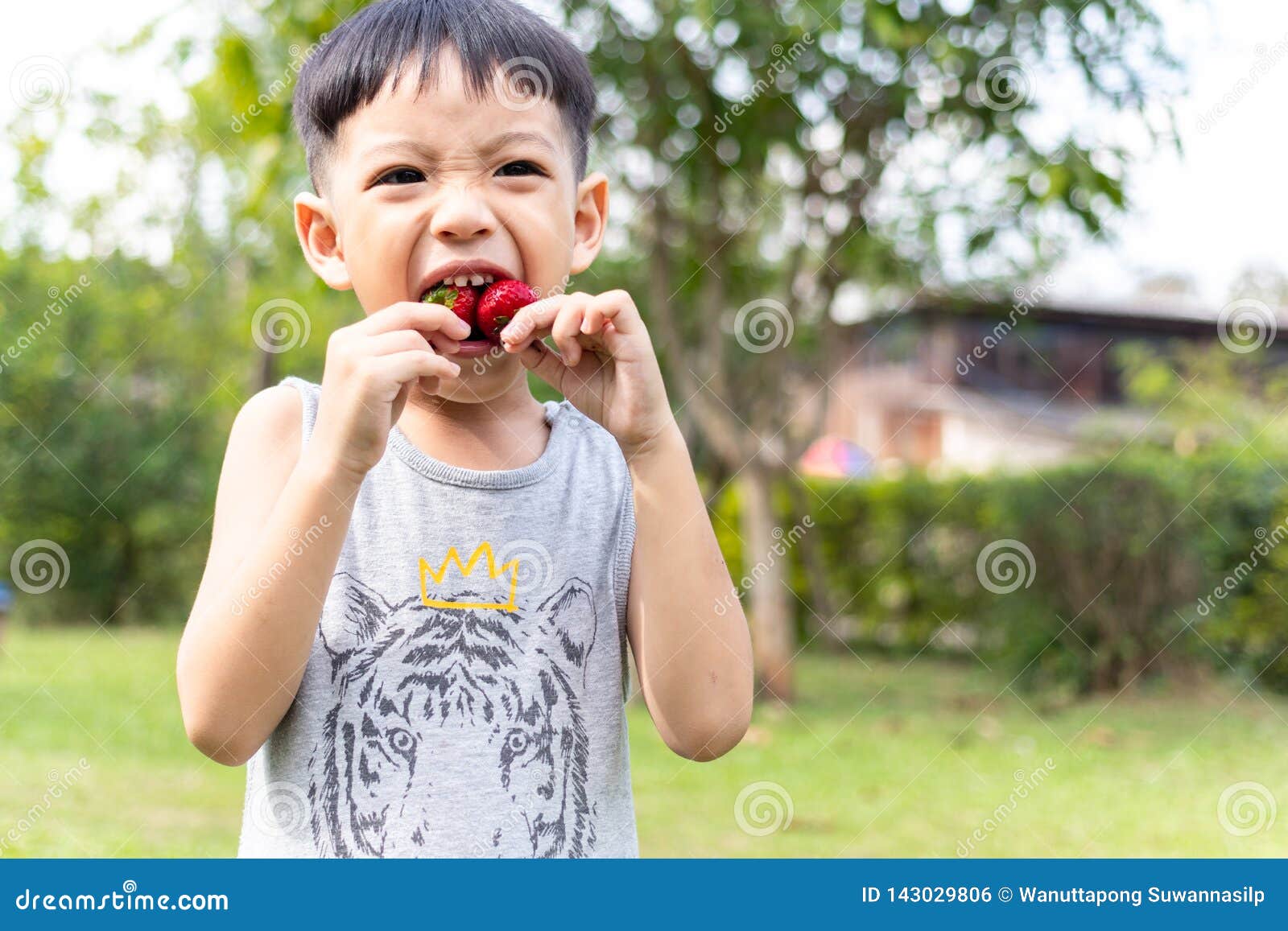 Children Eating Strawberries Stock Photo Image of healthy, baby 143029806