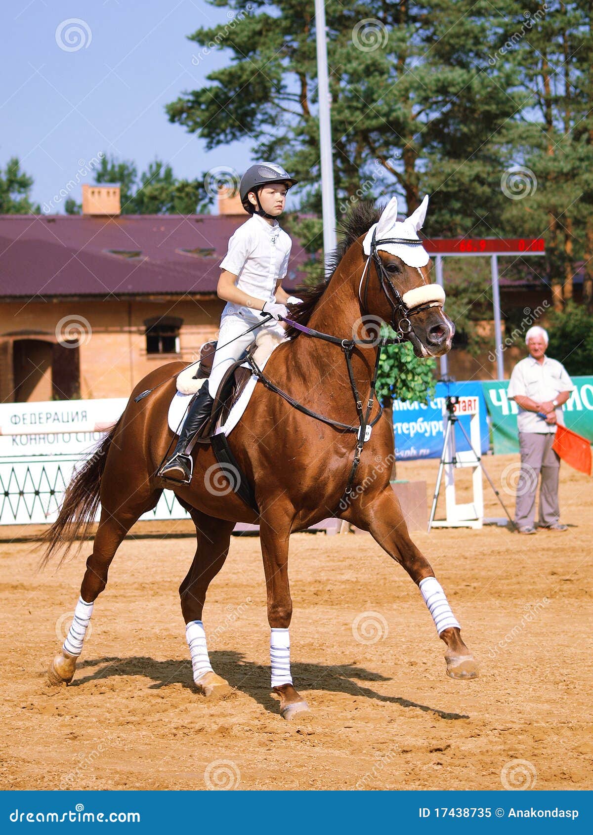 Children in Equestrian Sport Editorial Image Image of equestrian