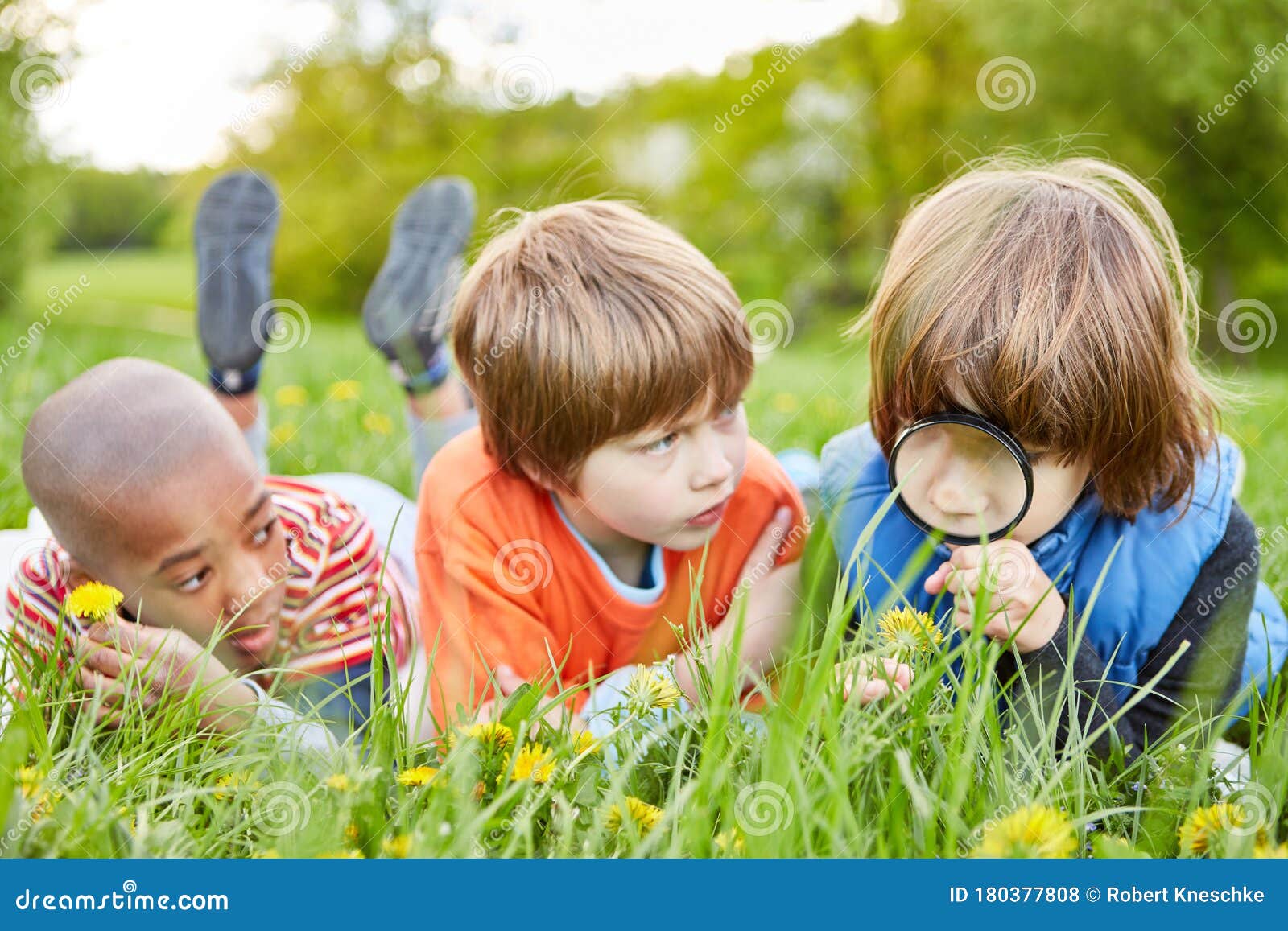 Children Explore the Nature with a Glass Photo - Image of learn: 180377808