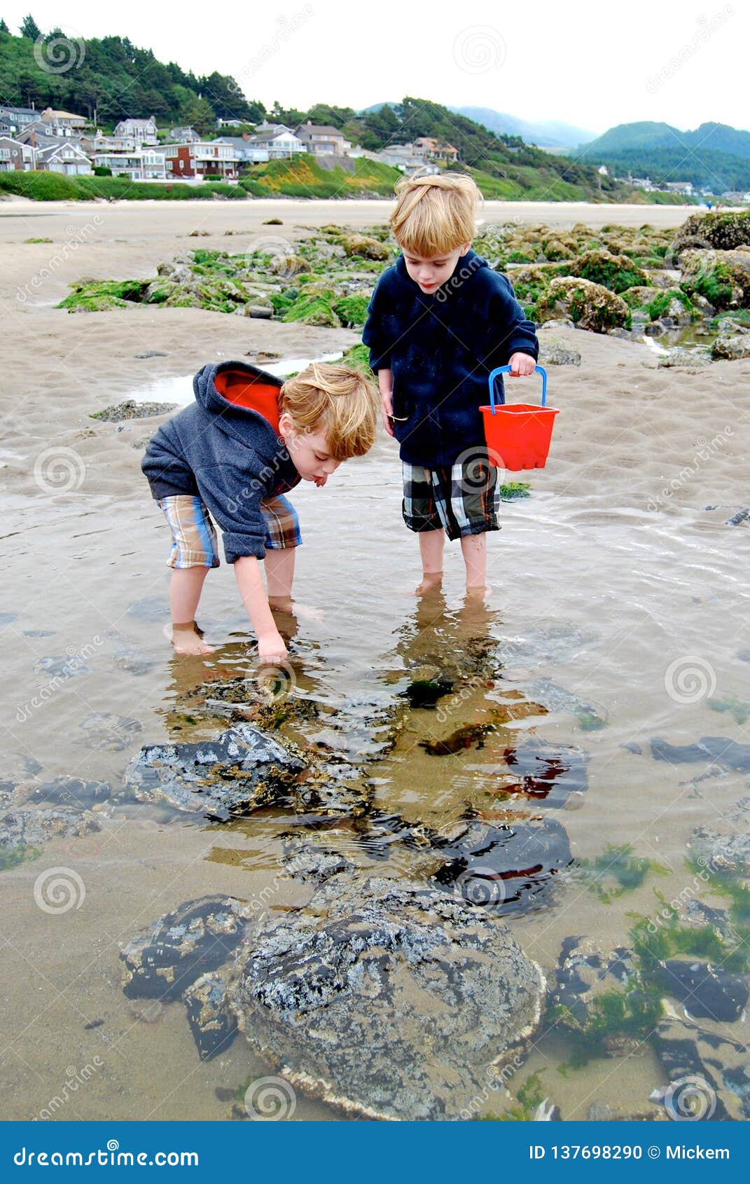 children explore tide pools with red bucket