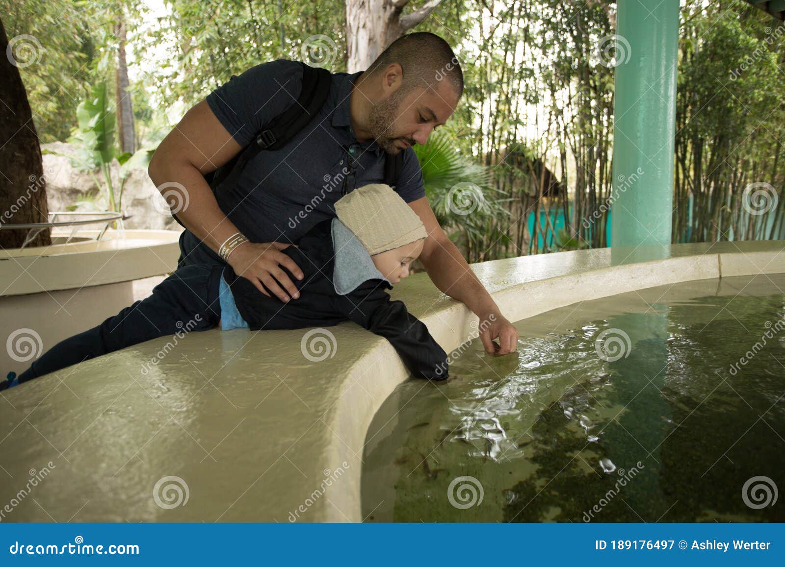 water interactive displays guadalajara zoo.