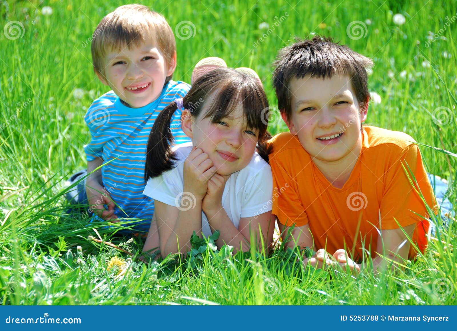 Children in the Grass stock photo. Image of park, leisure - 5253788