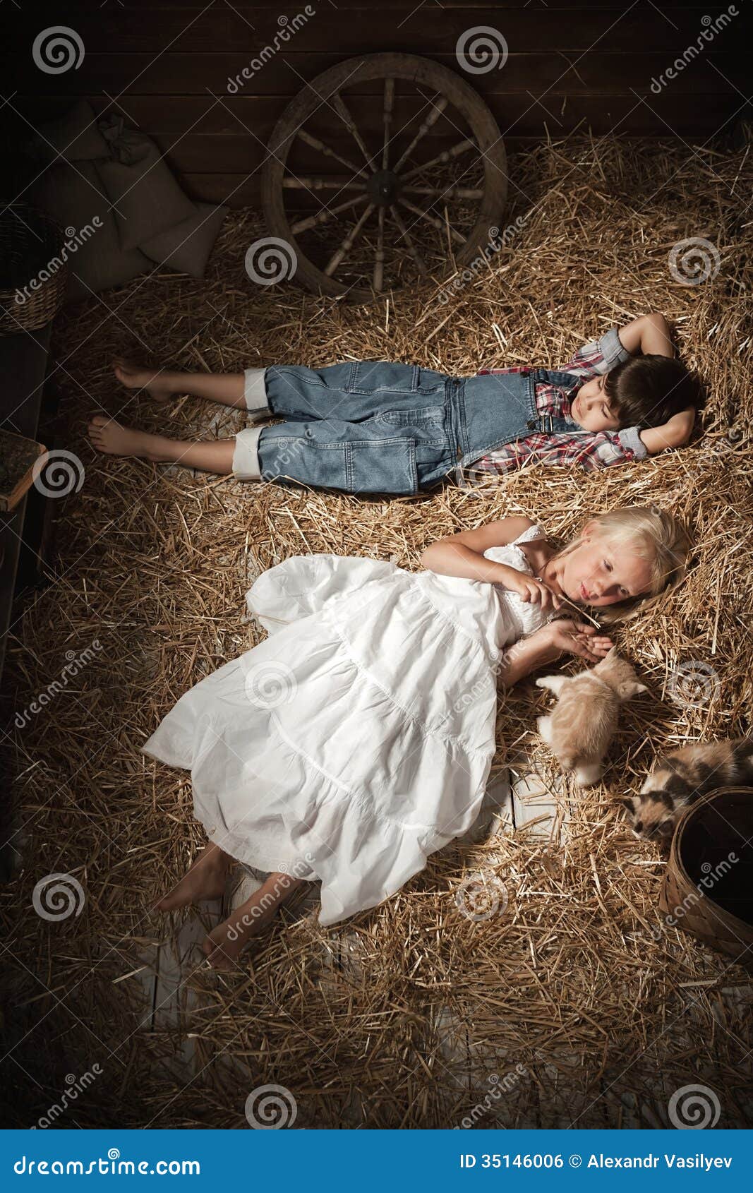children in the hay in the barn with a kitten royalty free