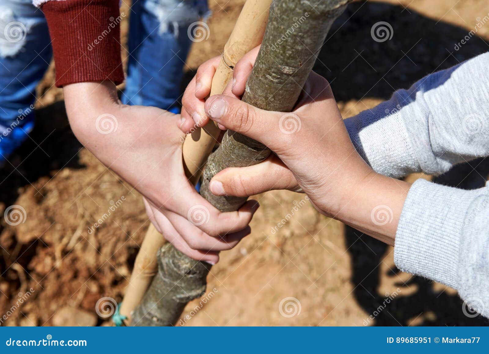 children holding a bole during tree planting.