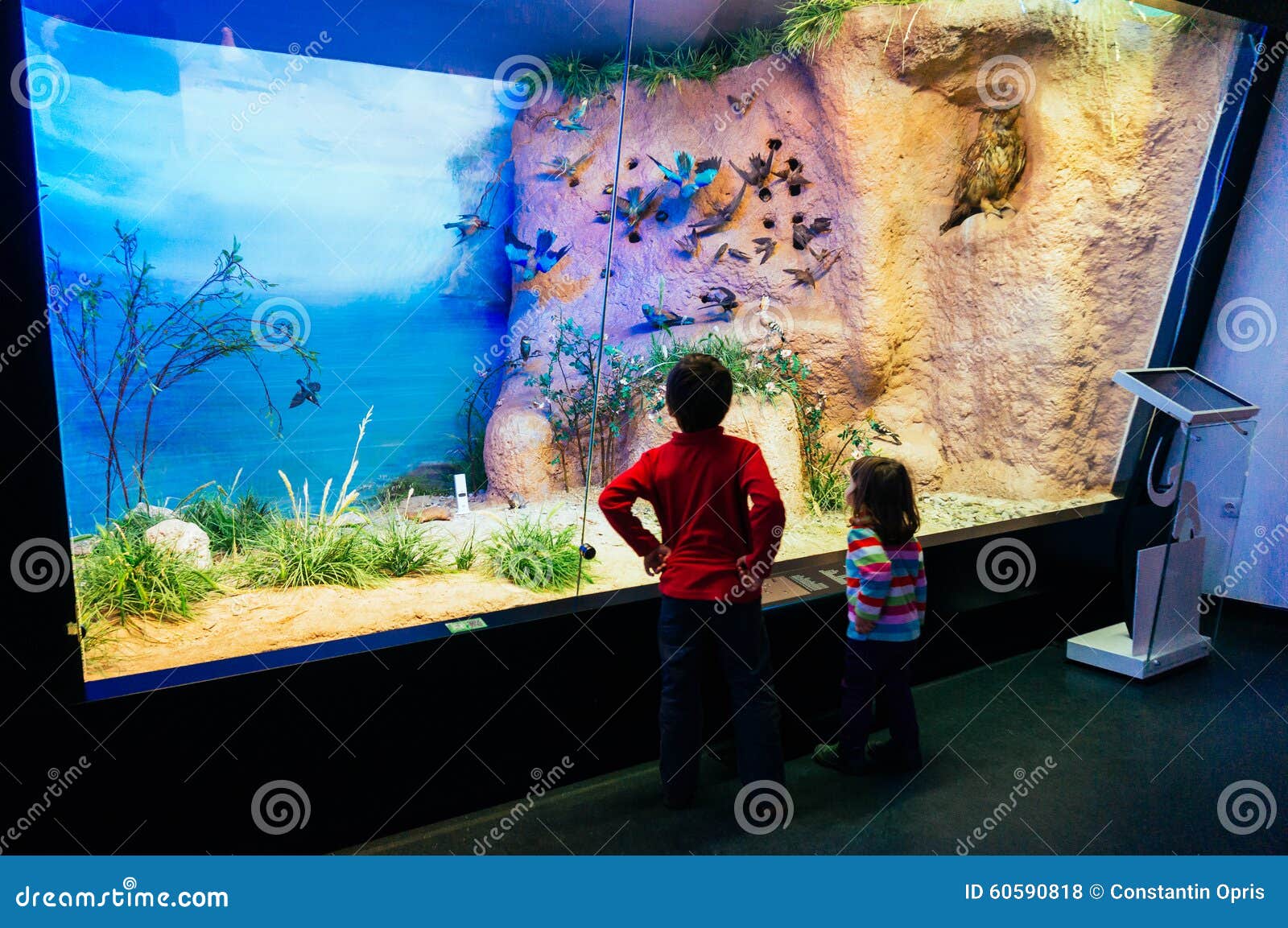 Children in Natural History Museum Editorial Stock Photo - Image of ...