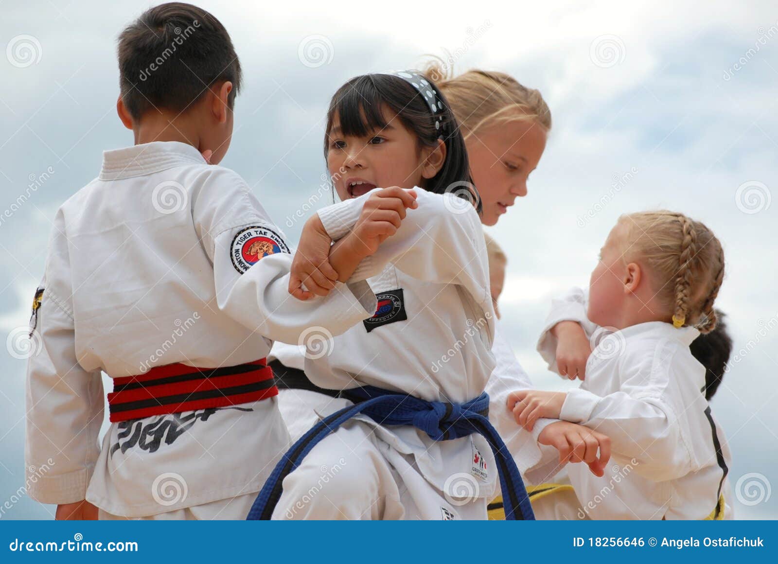 Children Performing Taekwondo Editorial Photo Image 18256646