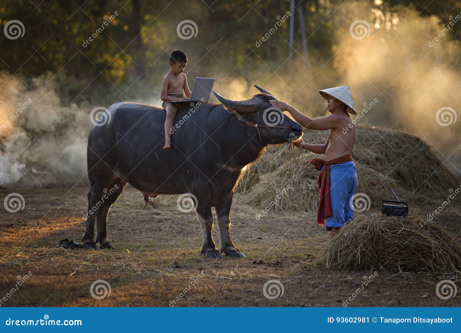 Intrusion Regeneration Fortælle Children Playing Computer and Riding Buffalo with His Father on during  Sunset Stock Image - Image of agriculture, culture: 93602981