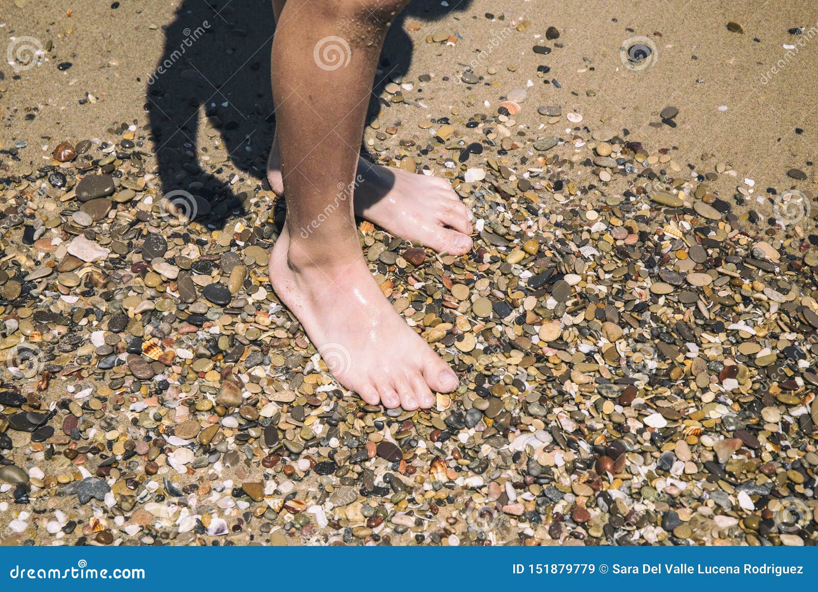 children`s feet walking on the stones along the beach