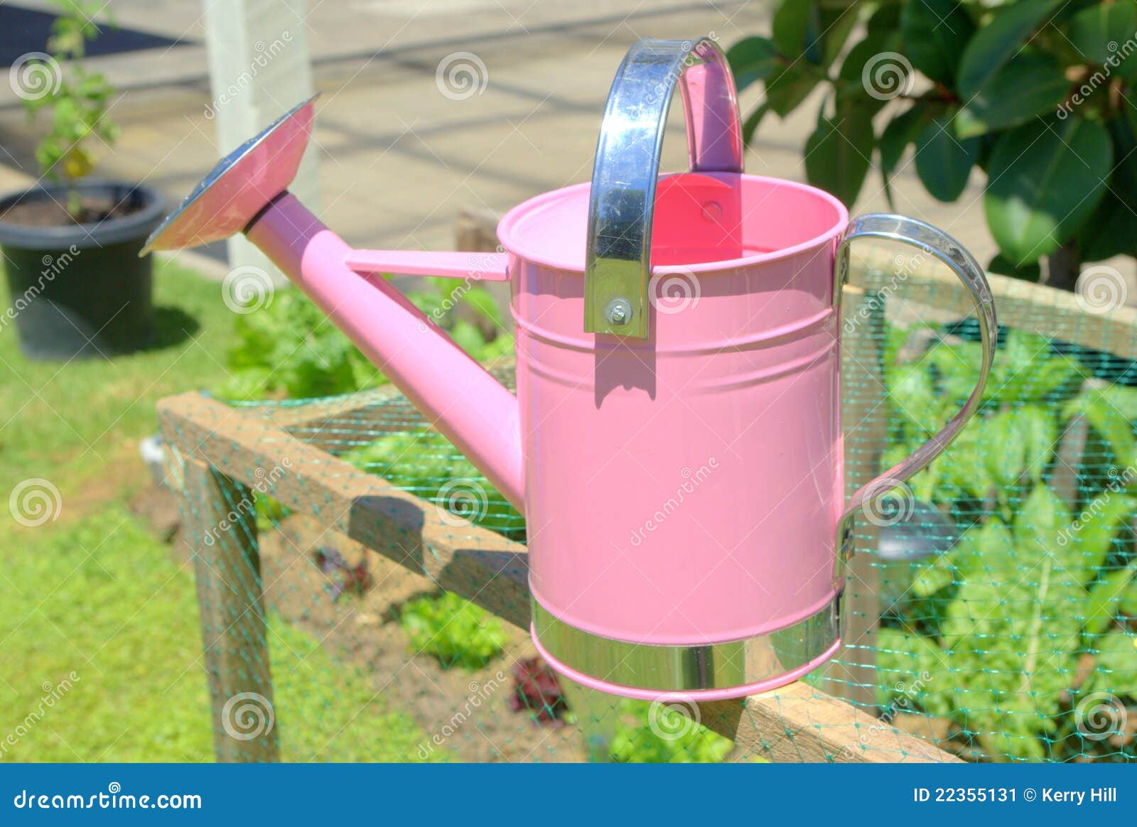 Childs pink watering can stock image. Image of beautiful 22355131