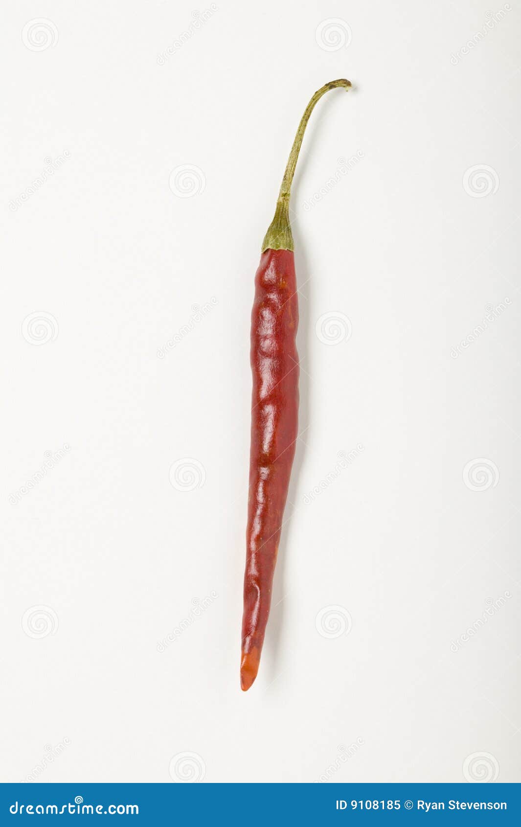 chile de arbol