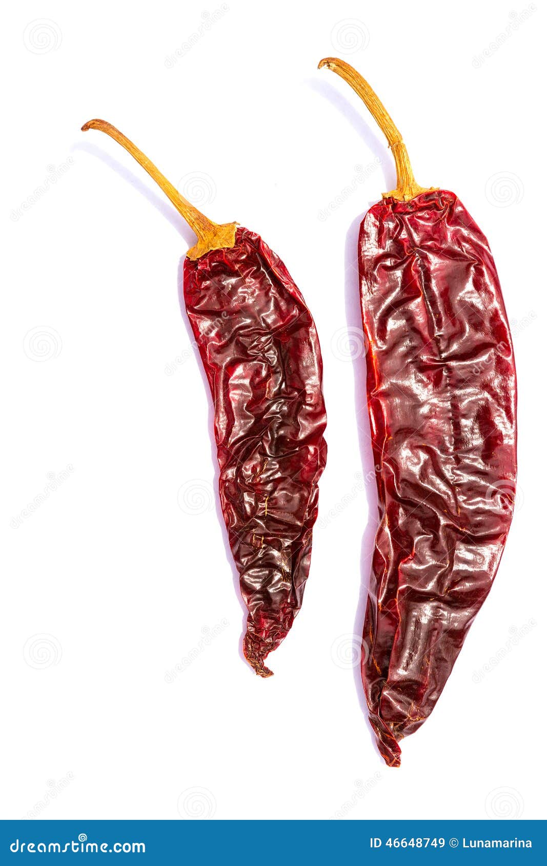 chile guajillo seco dried hot chili pepper