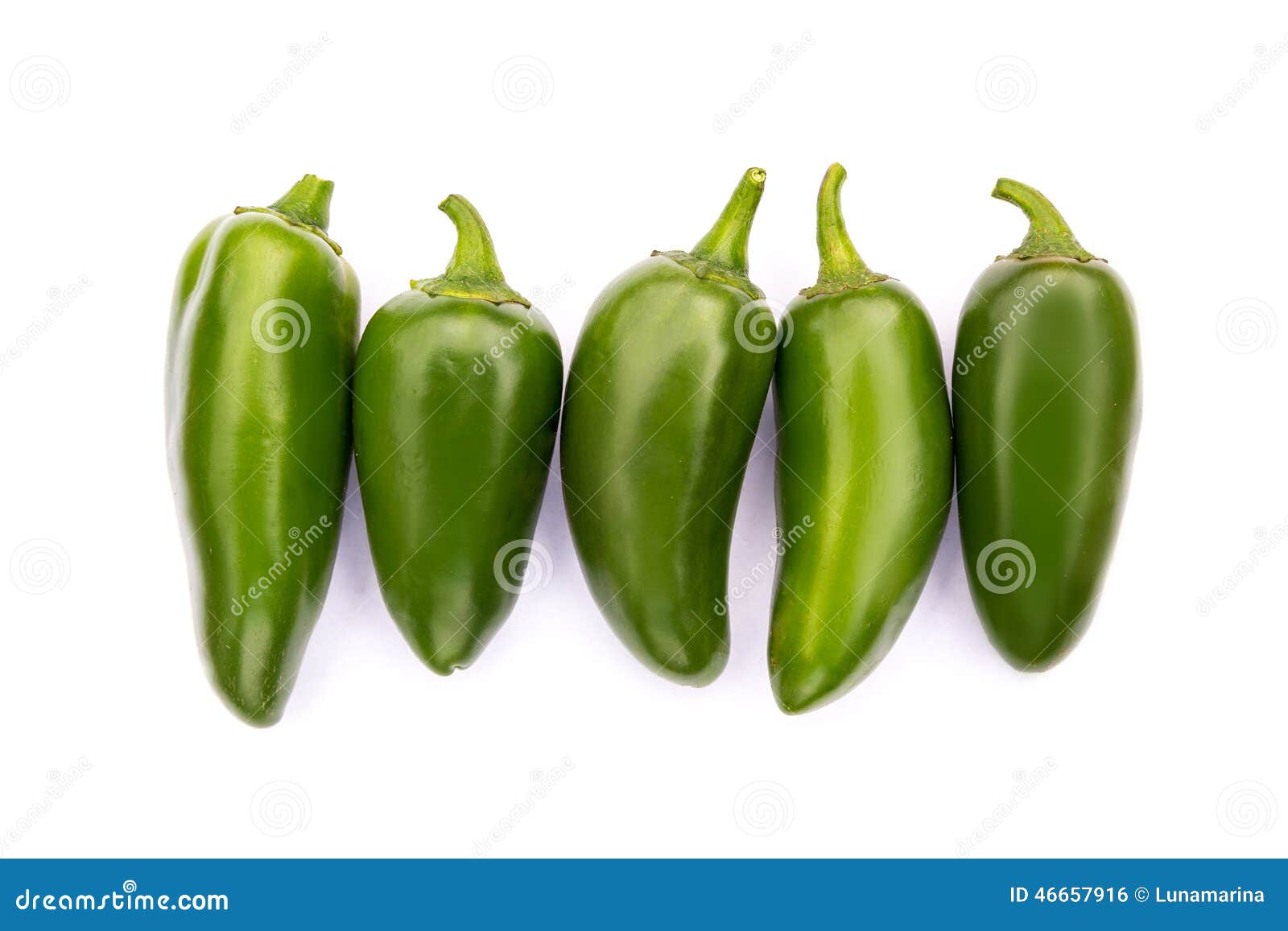 chile jalapeno hot chili pepper