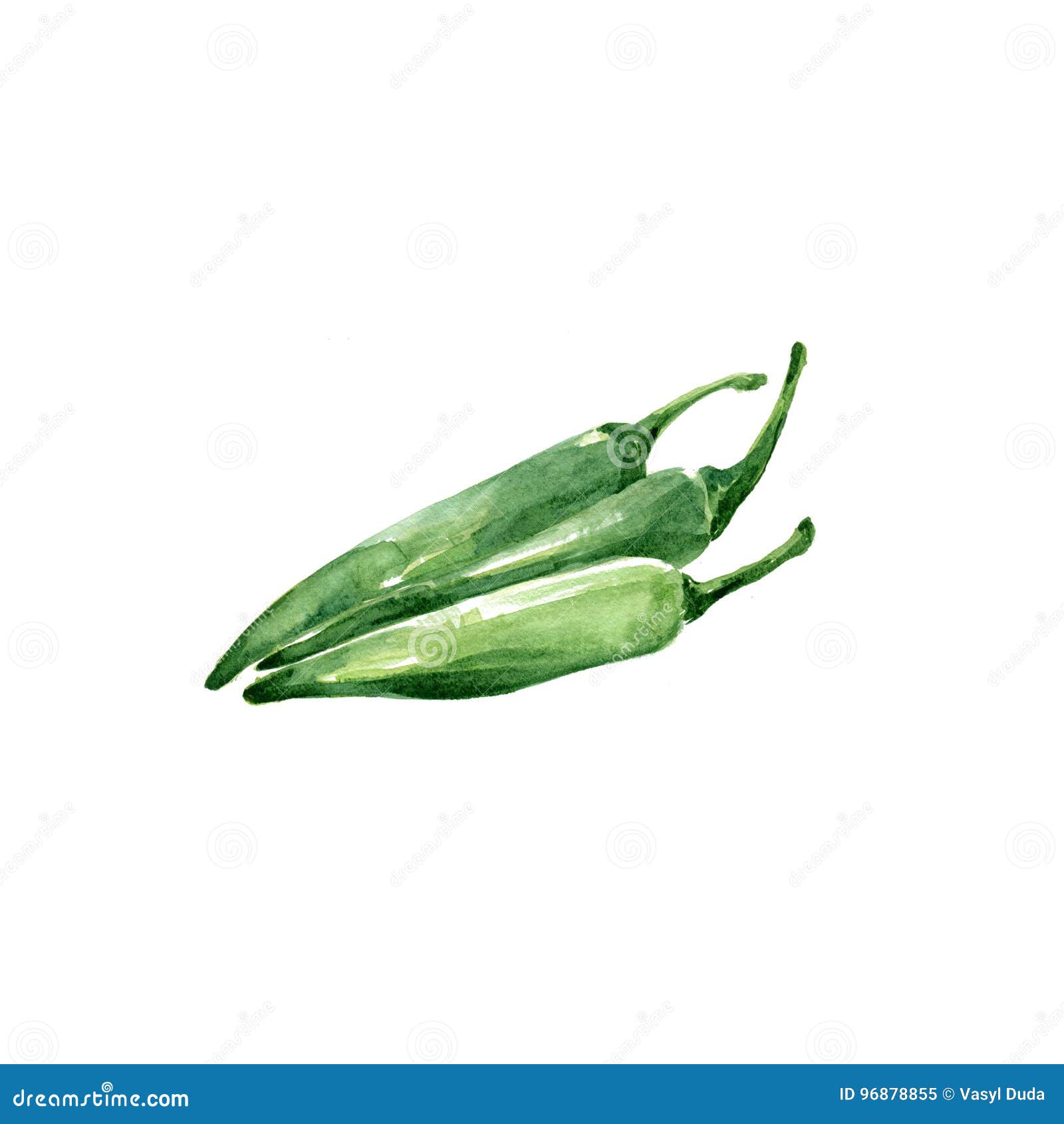 Chile verde stock de ilustración. Ilustración de pintura 96878855