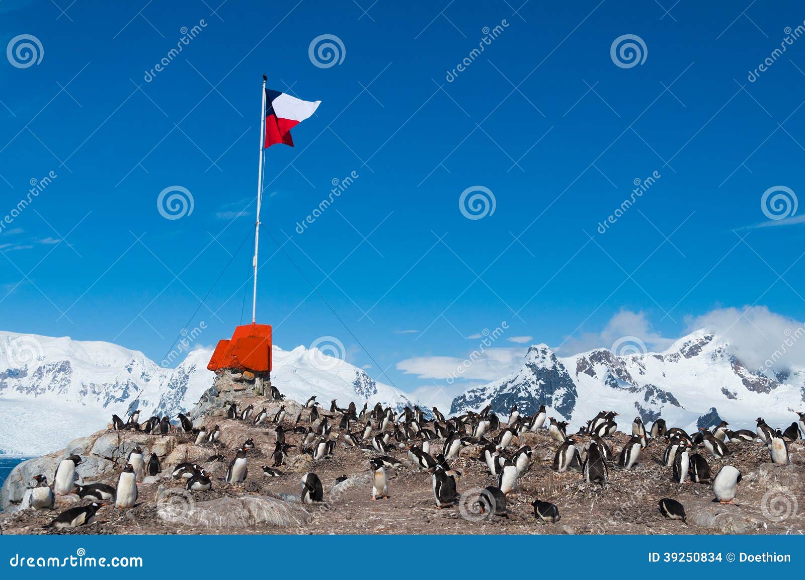 Chilean Base Antarctica Flag Flying Stock Photo Image 39250834