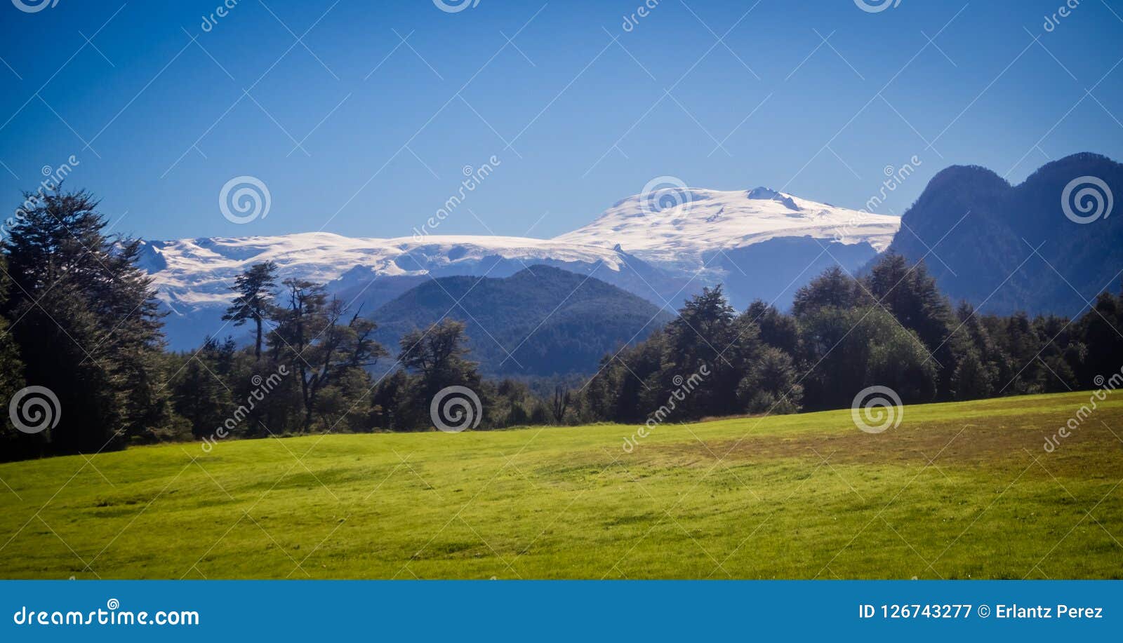 landscape in pumalin natural park patagonia, chile in summe