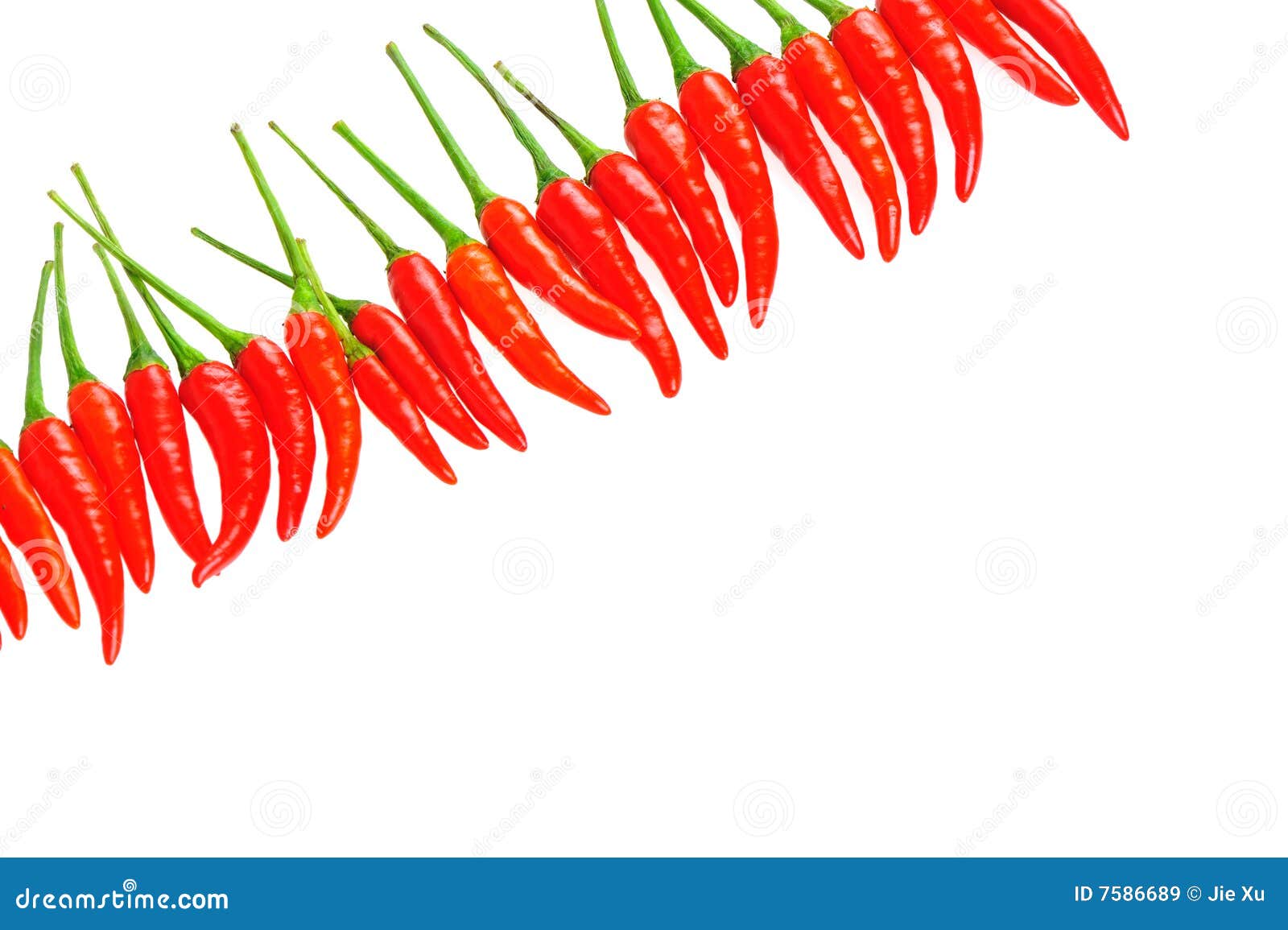 Chili in a line stock image. Image of fiery, white, border 7586689