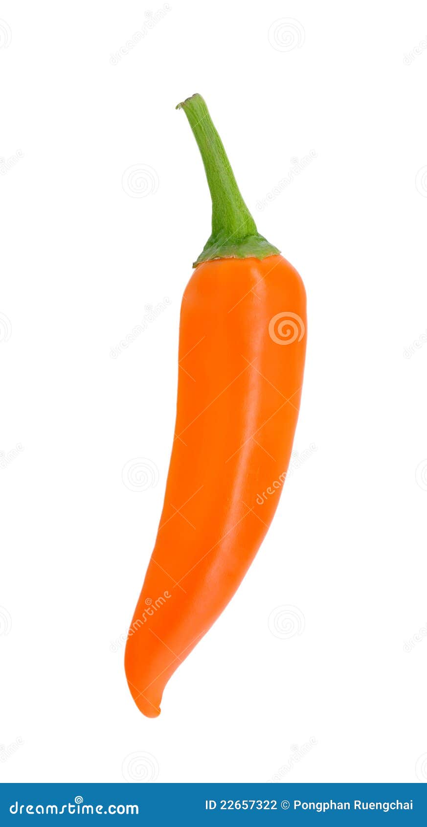 Chili pepper stock photo. Image of bell, orange, isolated 22657322