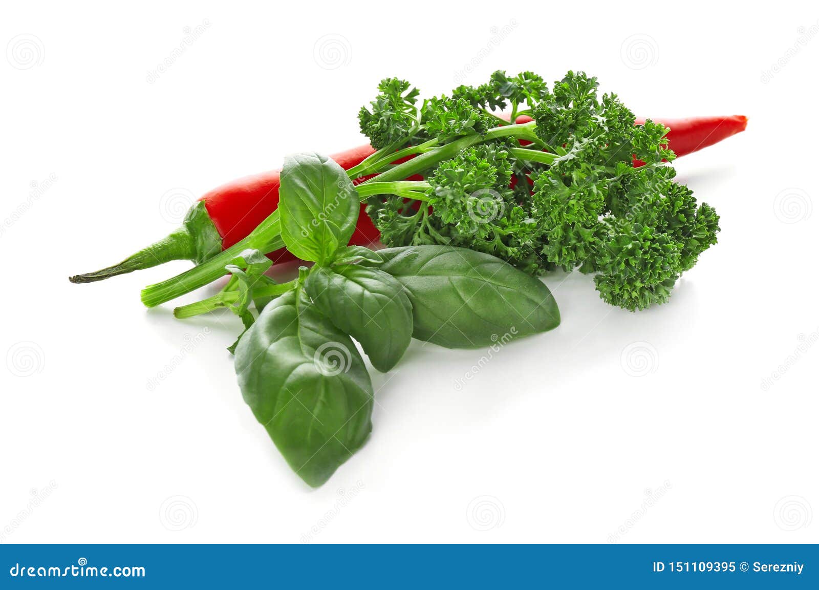 Chili Pepper and Fresh Herbs on White Background Stock Image Image of